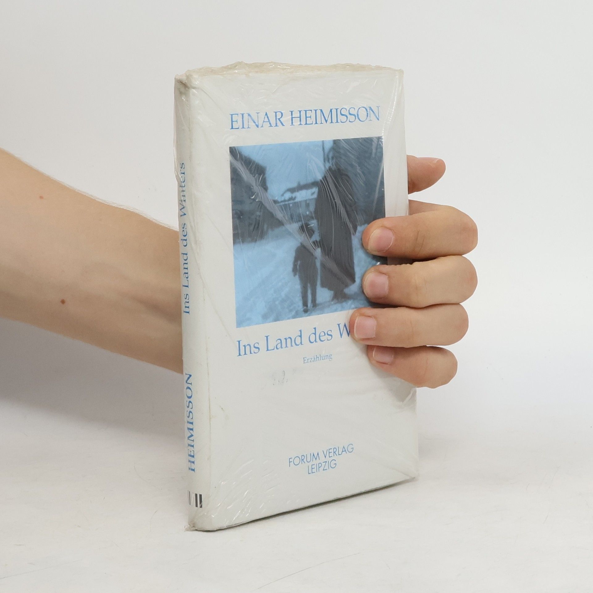 Einar Heimisson Ins Land des Winters