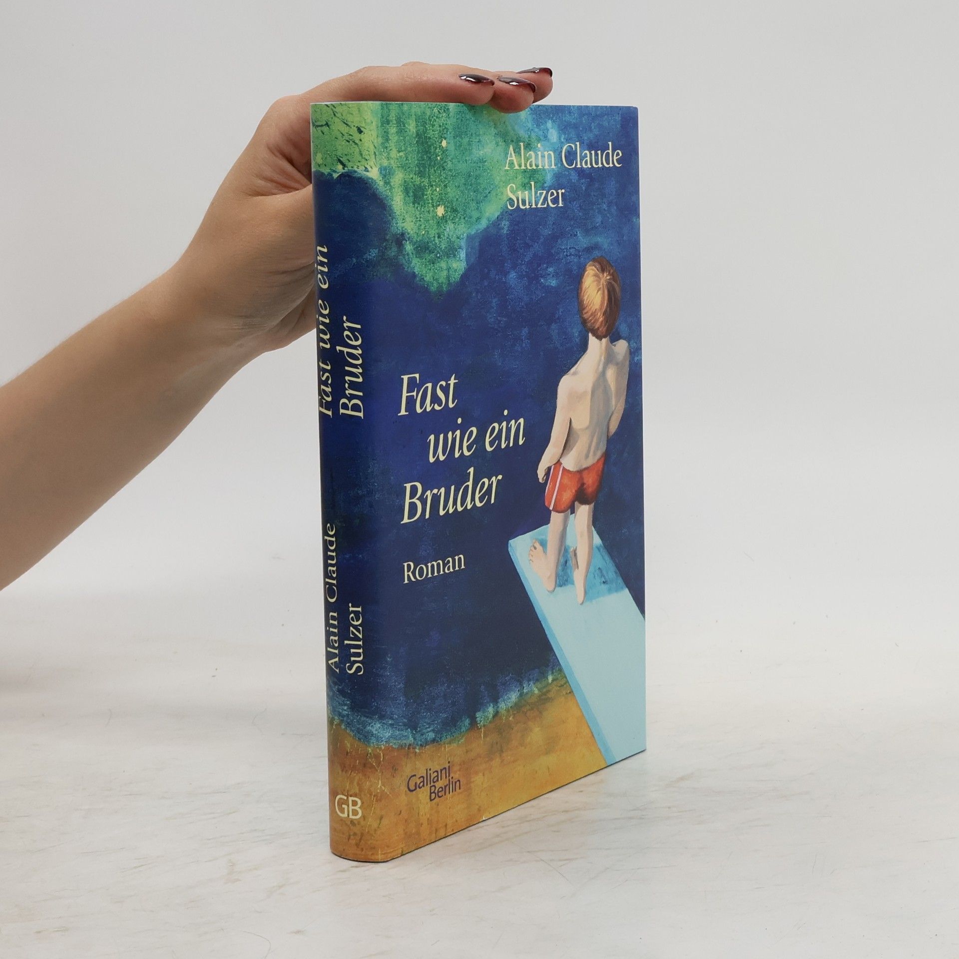 Alain Claude Sulzer Fast wie ein Bruder