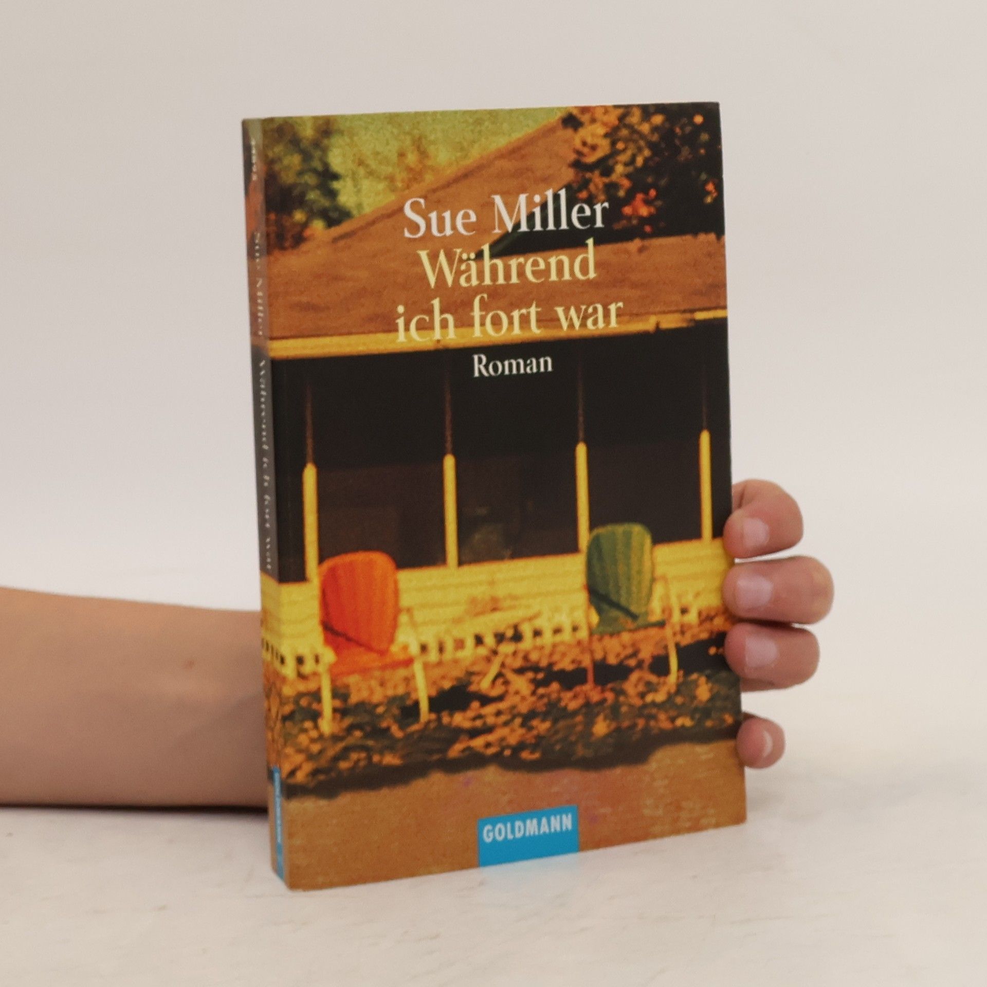 Sue Miller Während ich fort war