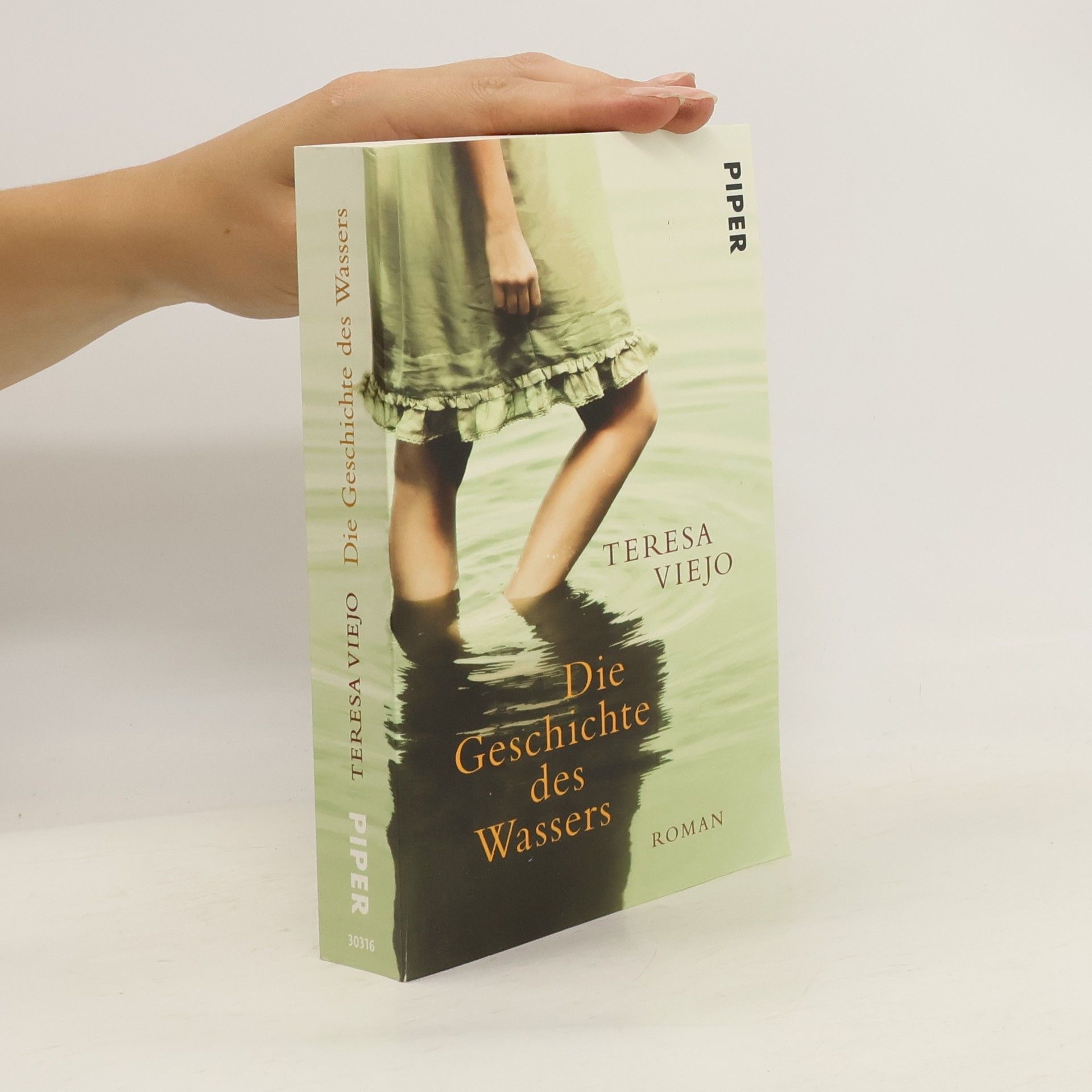 Teresa Viejo Die Geschichte des Wassers