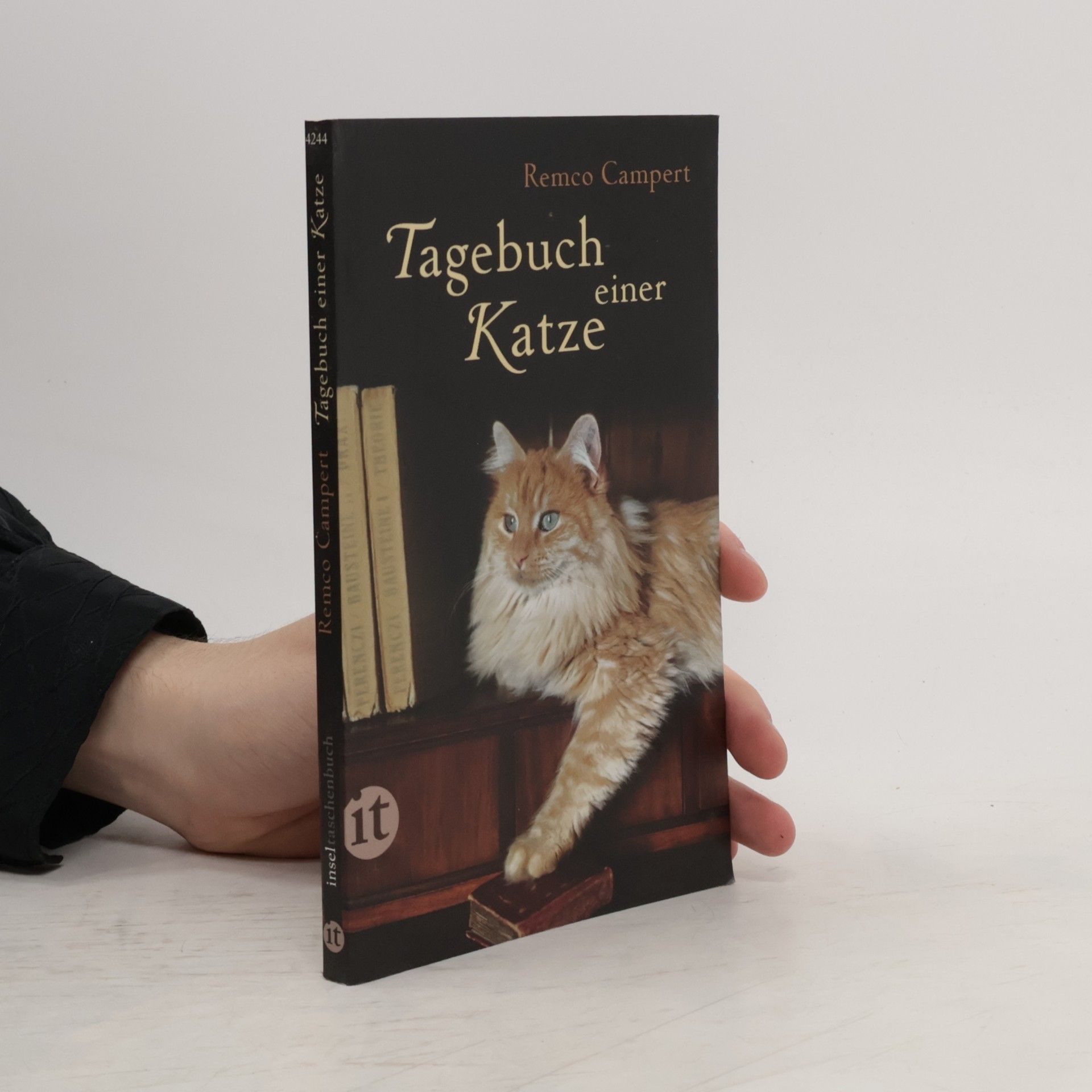 Remco Campert Tagebuch einer Katze