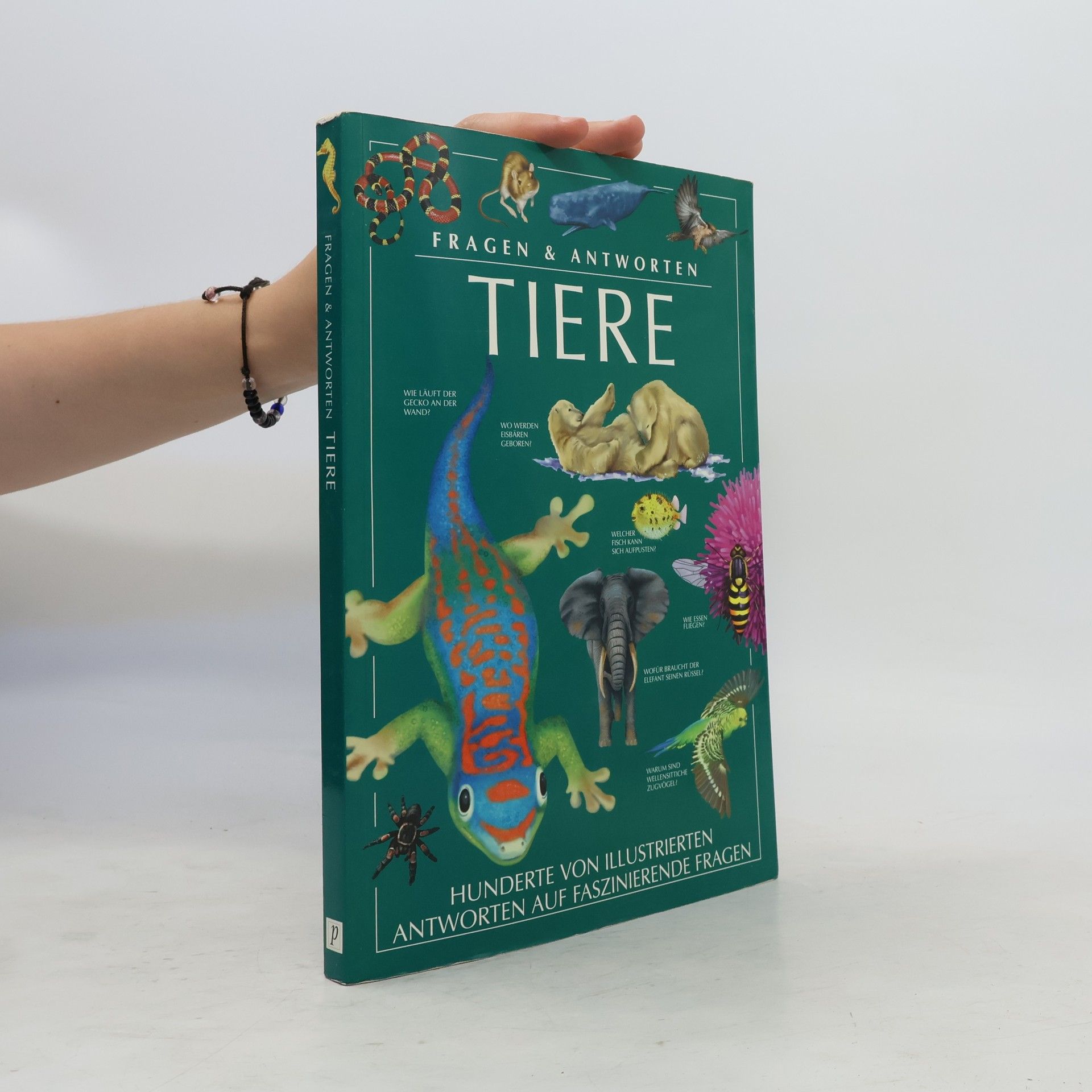 Nazire Ergün Tiere