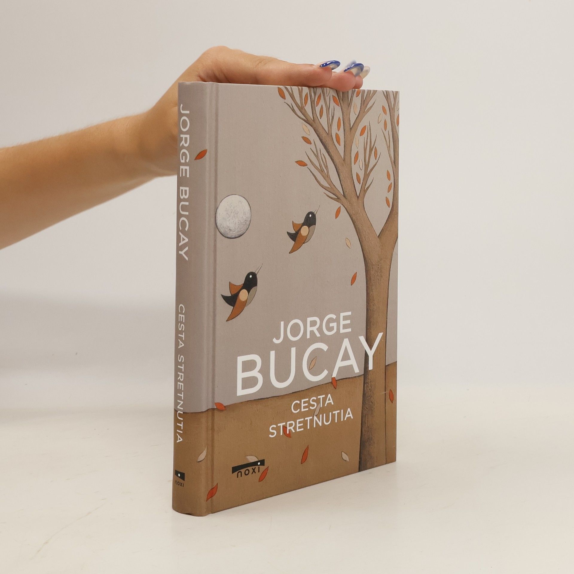 Jorge Bucay Cesta stretnutia