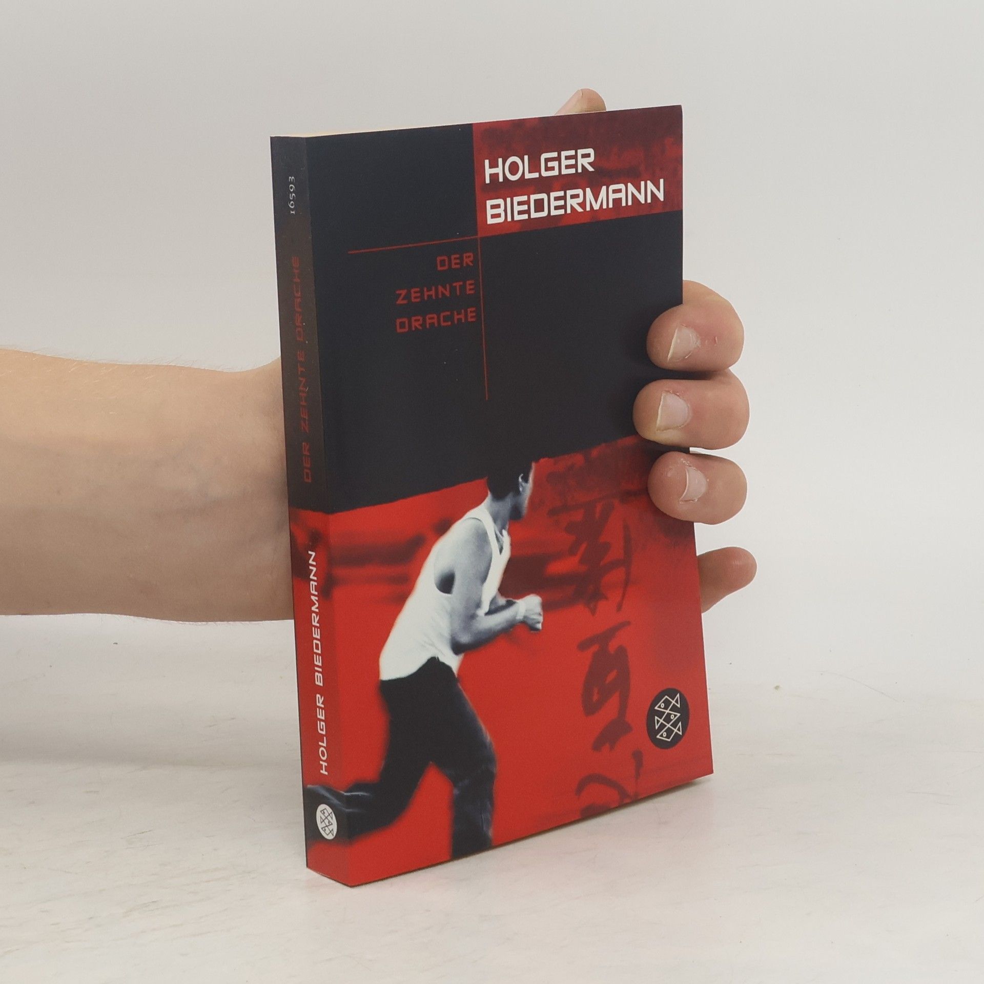 Holger Biedermann Der zehnte Drache