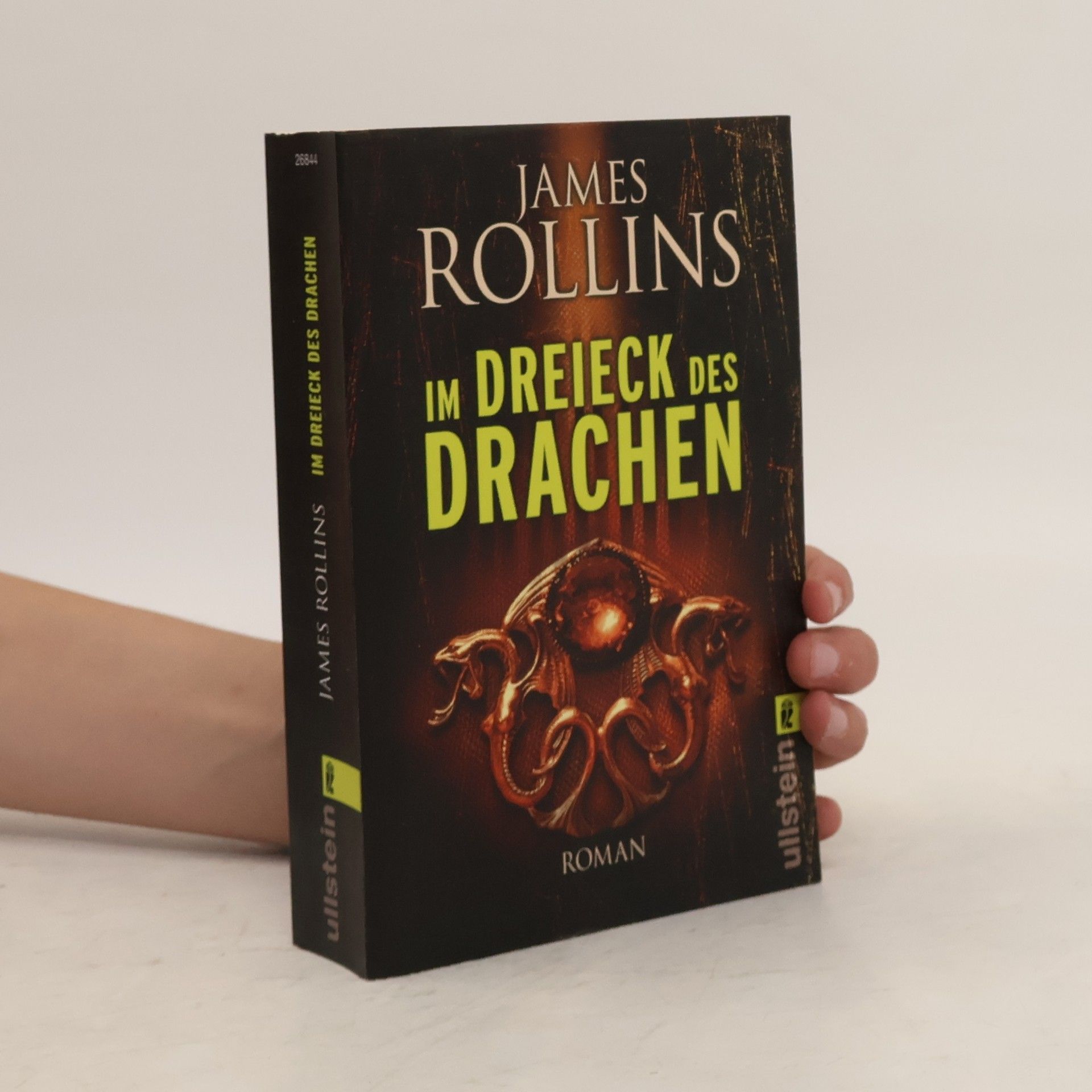 James Rollins Im Dreieck des Drachen