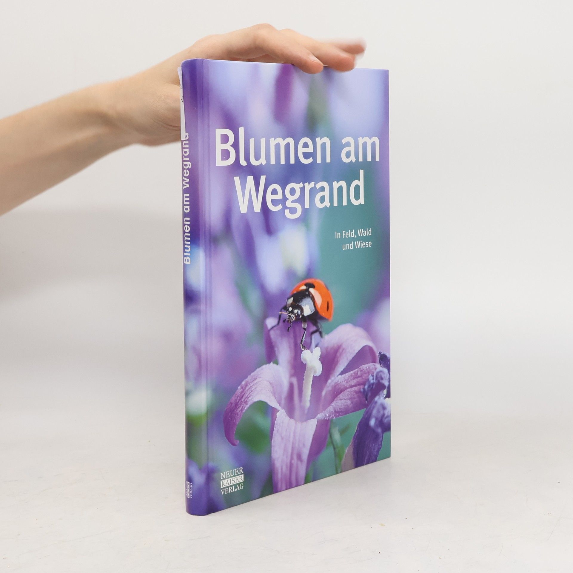 Autorenkollektiv Blumen am Wegrand