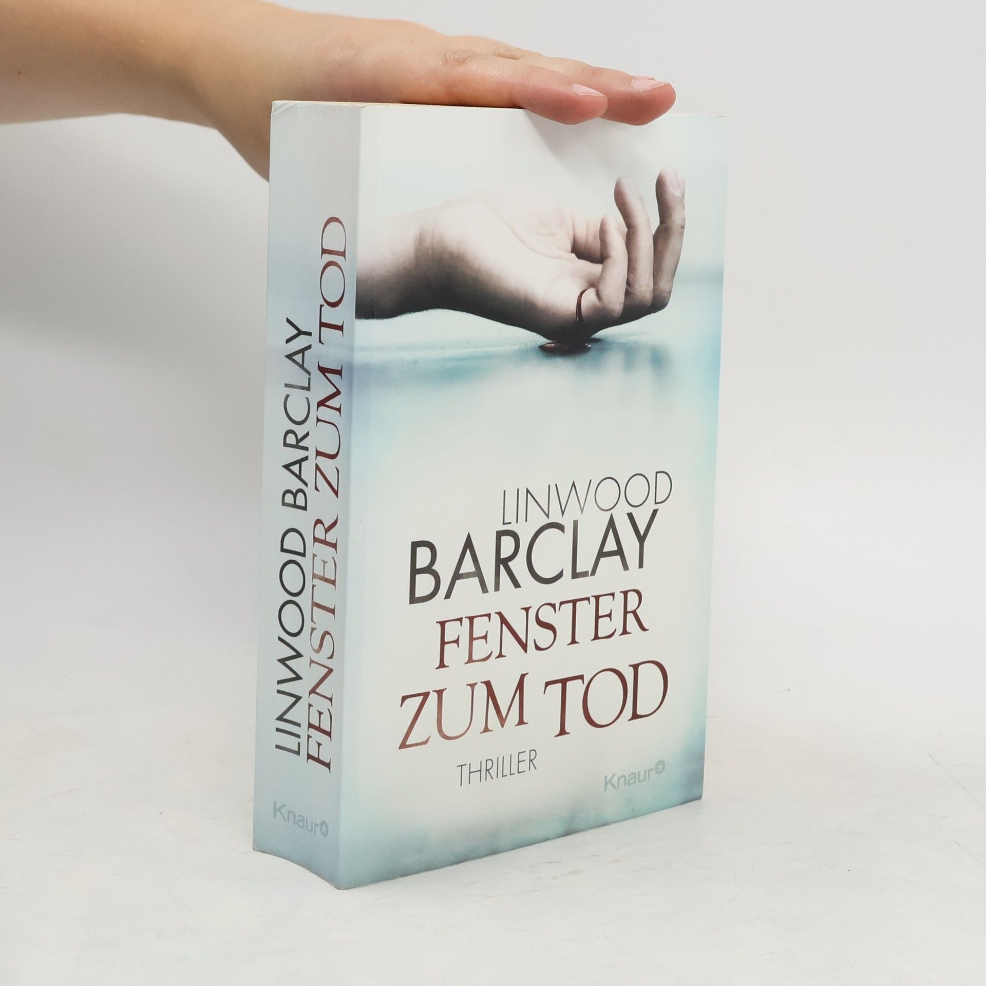 Linwood Barclay Fenster zum Tod