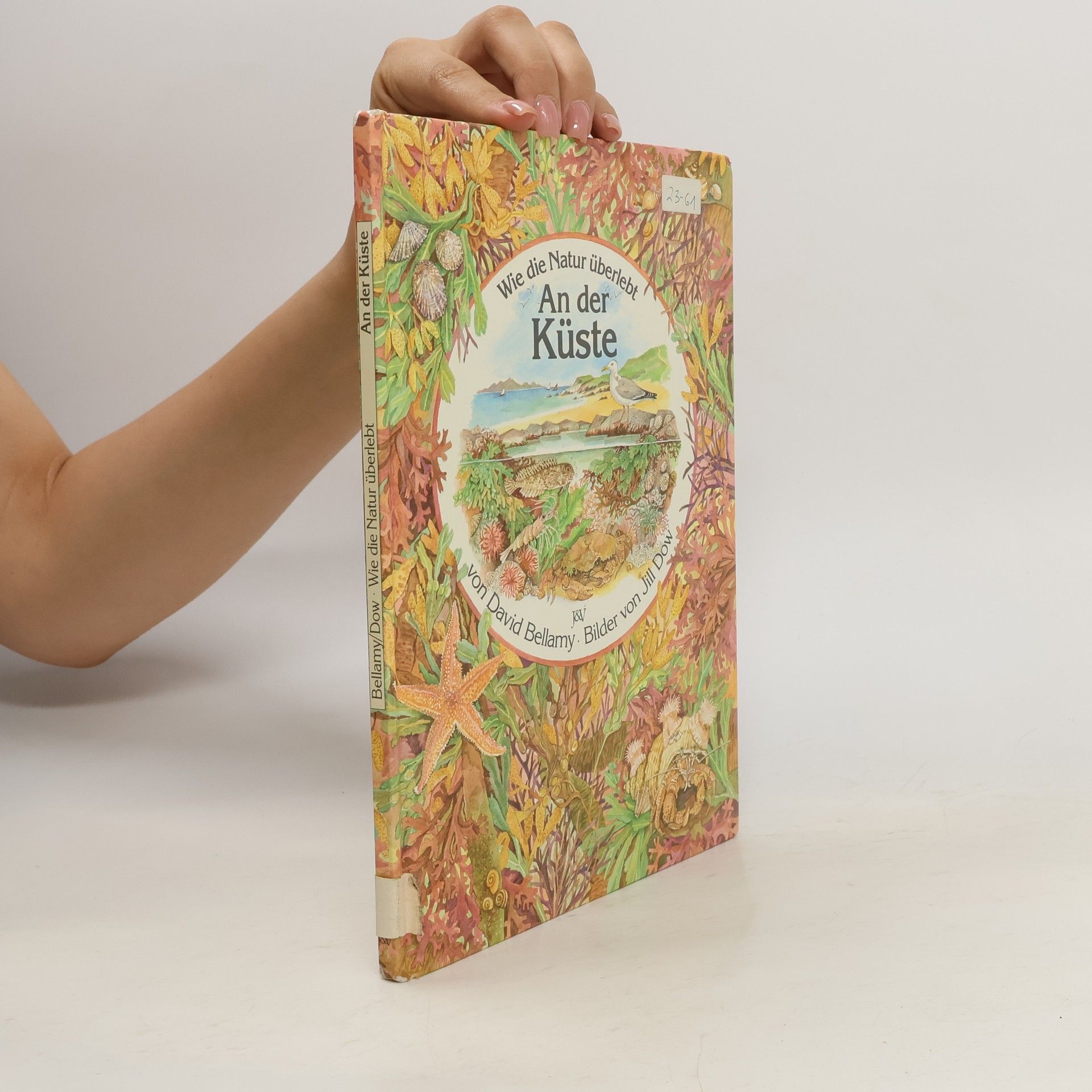 Jill Dow  Wie die Natur überlebt - An der Küste