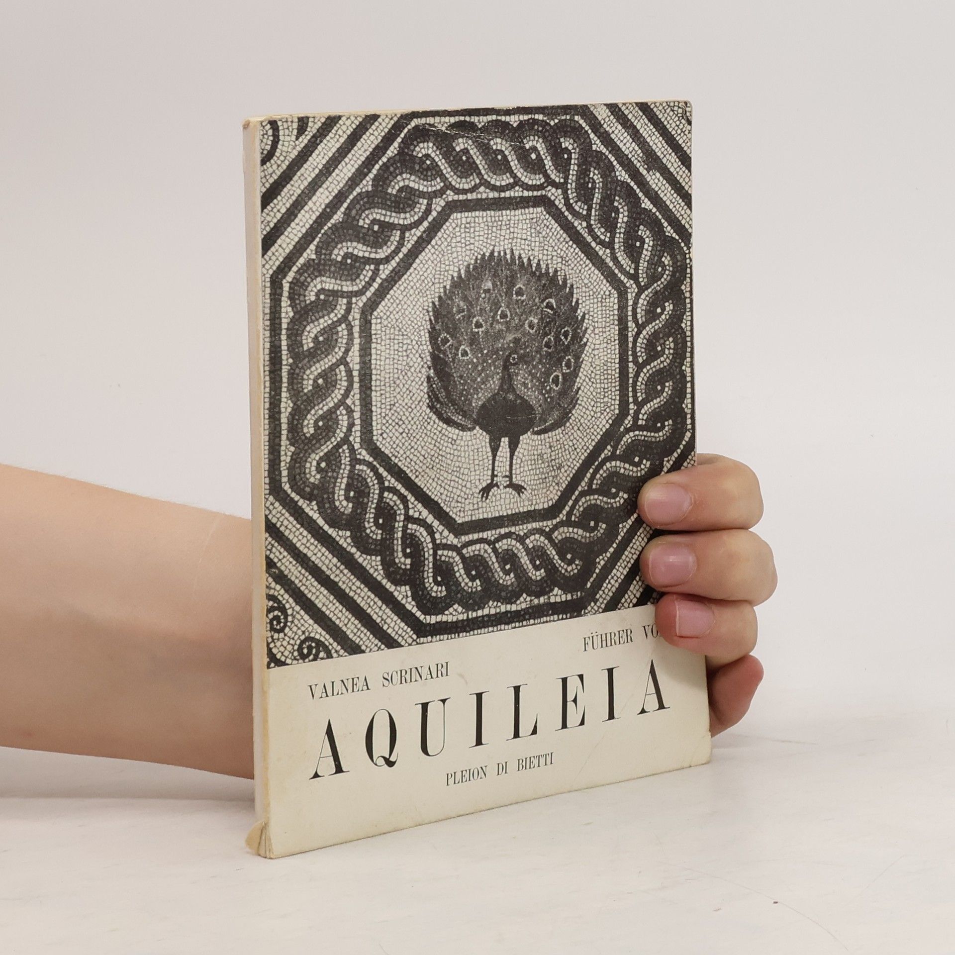 Valnea Scrinari Aquileia