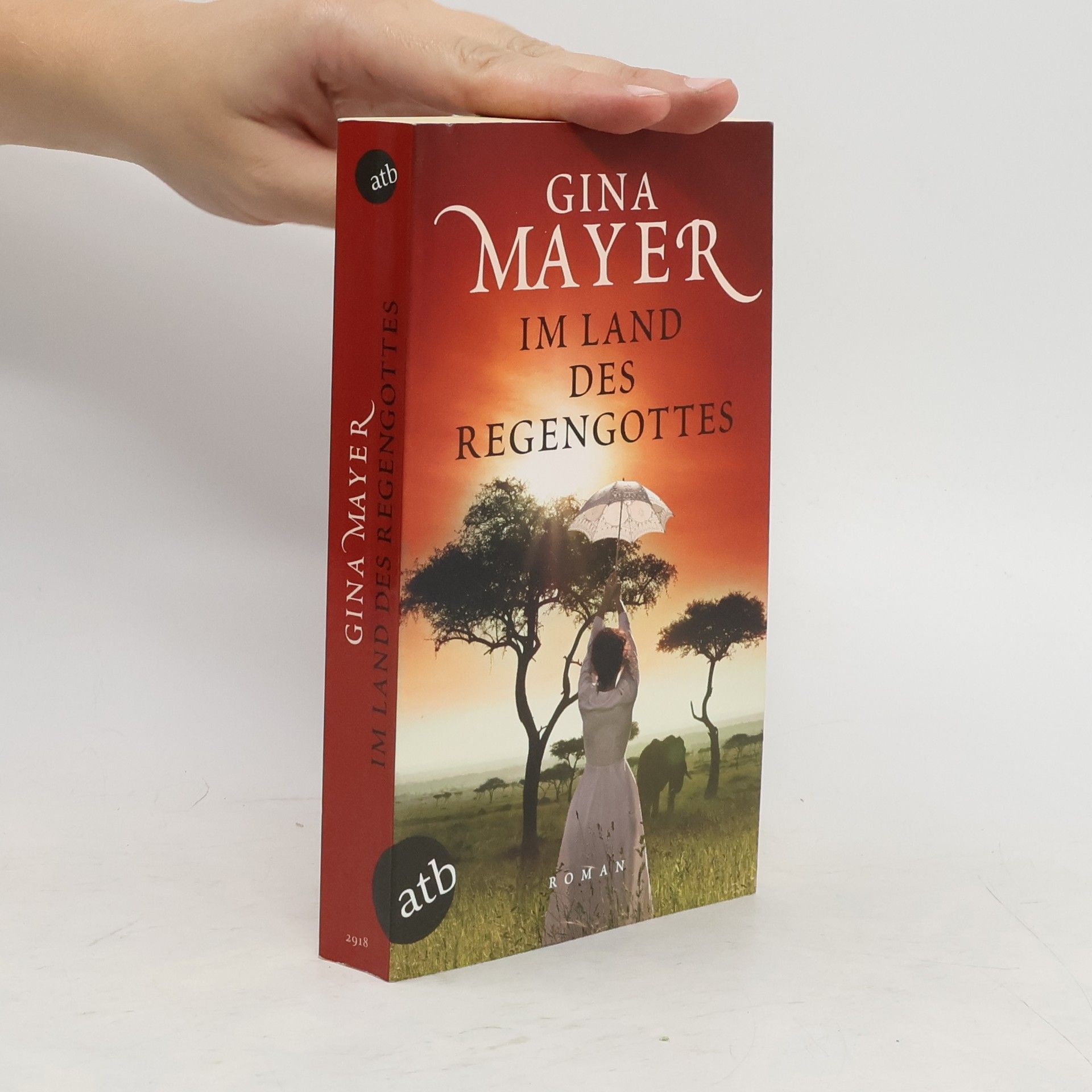 Gina Mayer Im Land des Regengottes