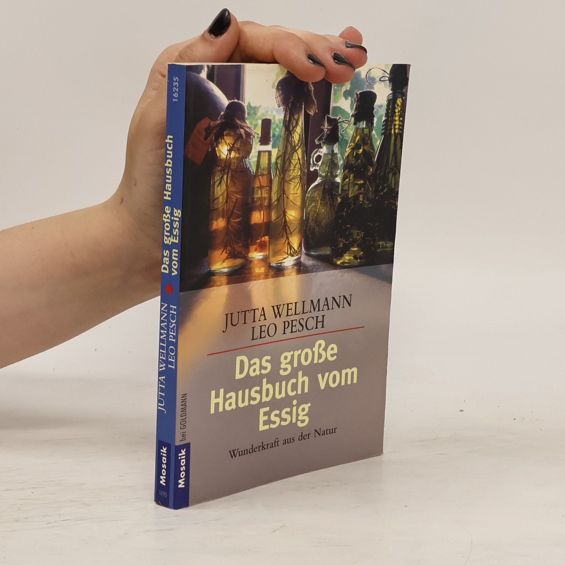 Jutta Wellmann Das große Hausbuch vom Essig