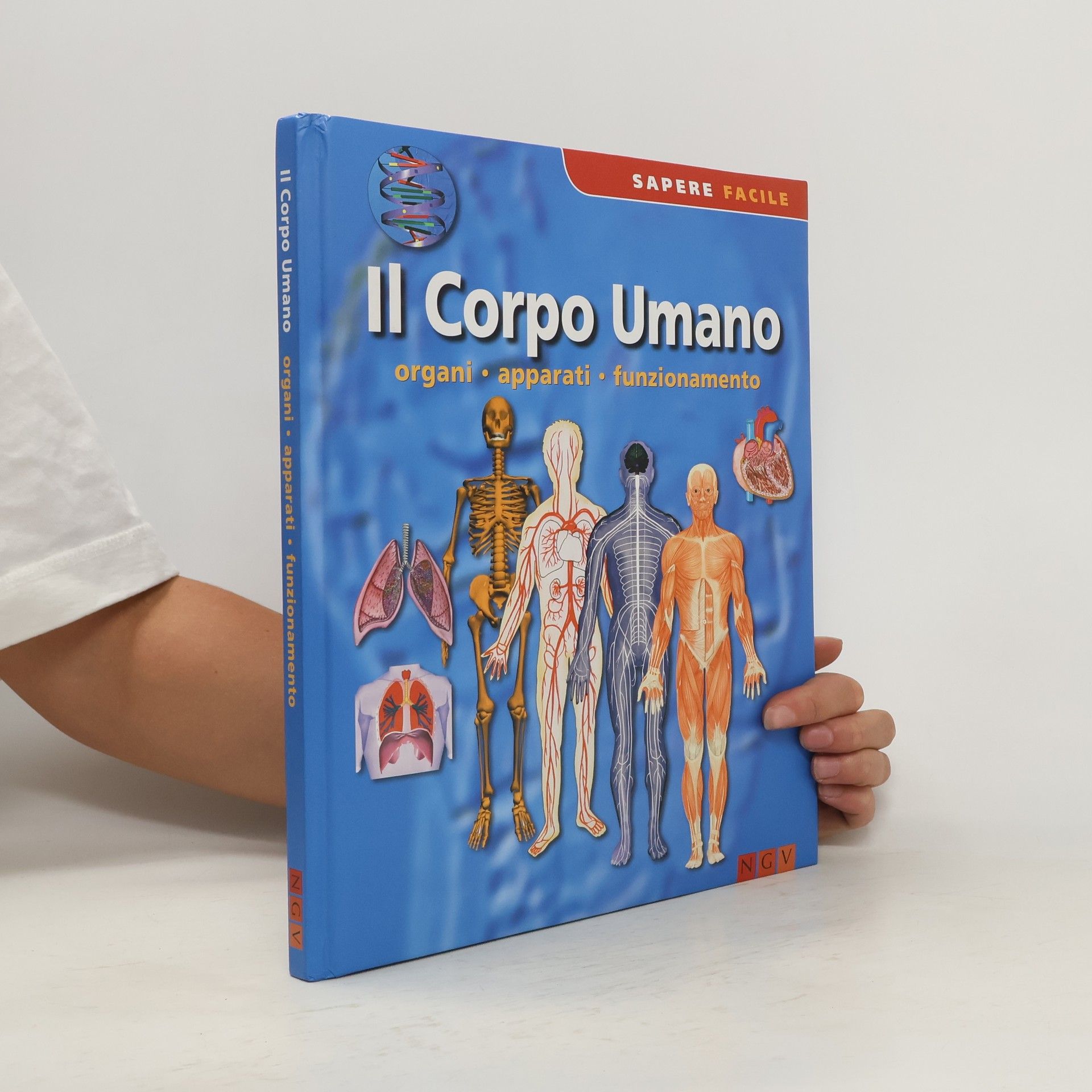 kolektiv Il Corpo Umano