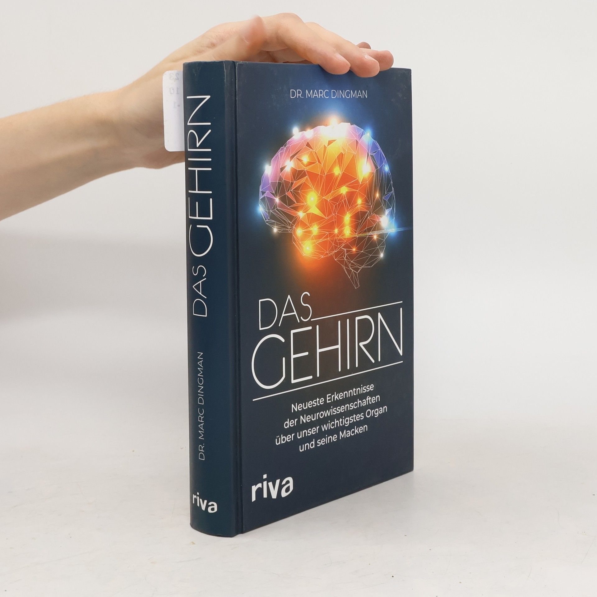 Marc Dingman Das Gehirn