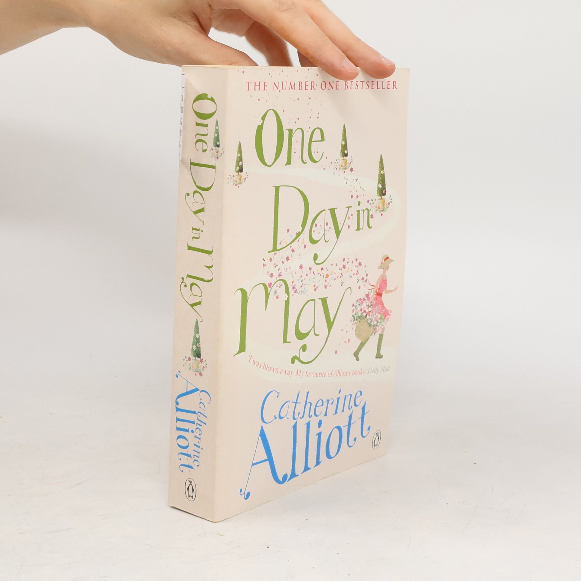Catherine Alliott One Day in May
