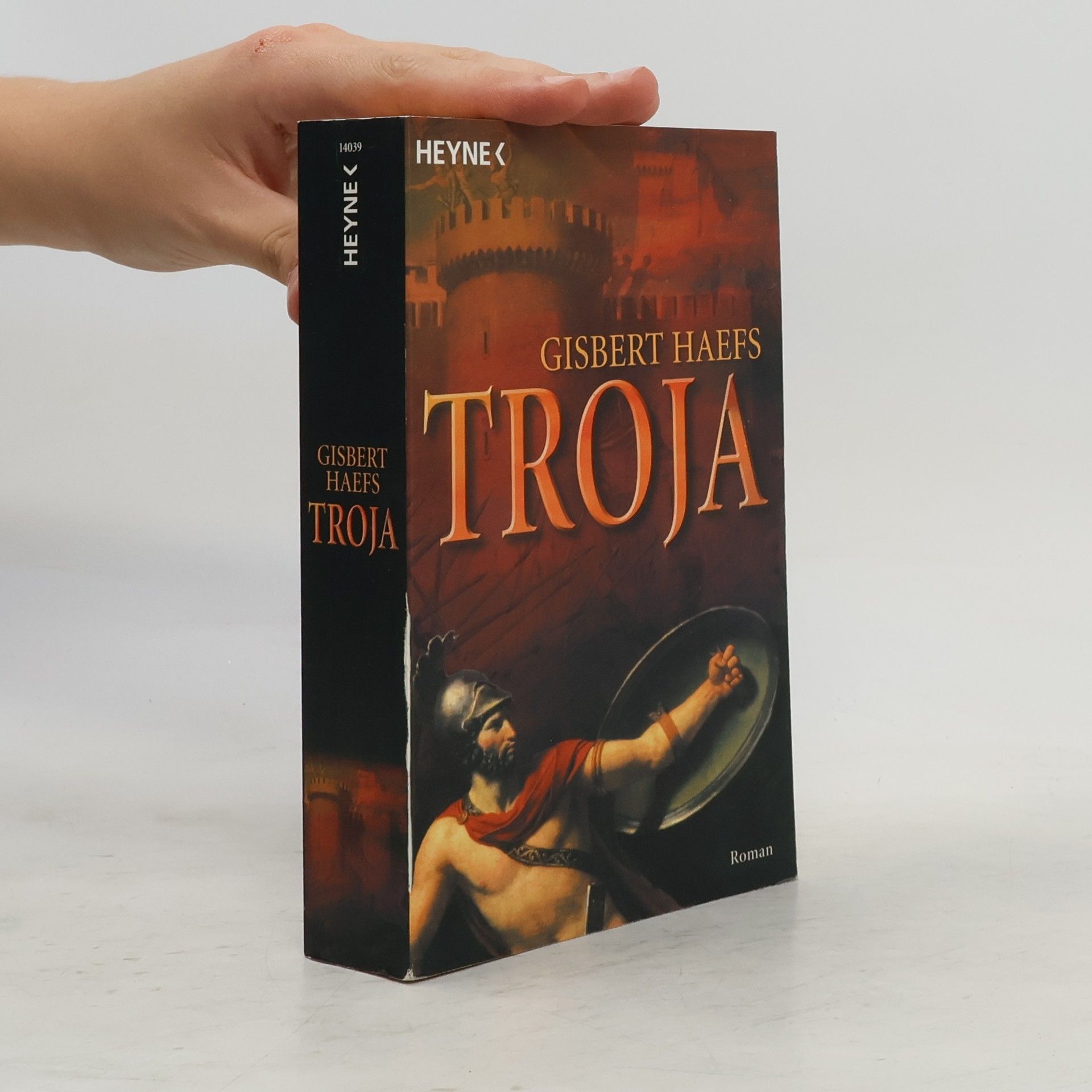 Gisbert Haefs Troja