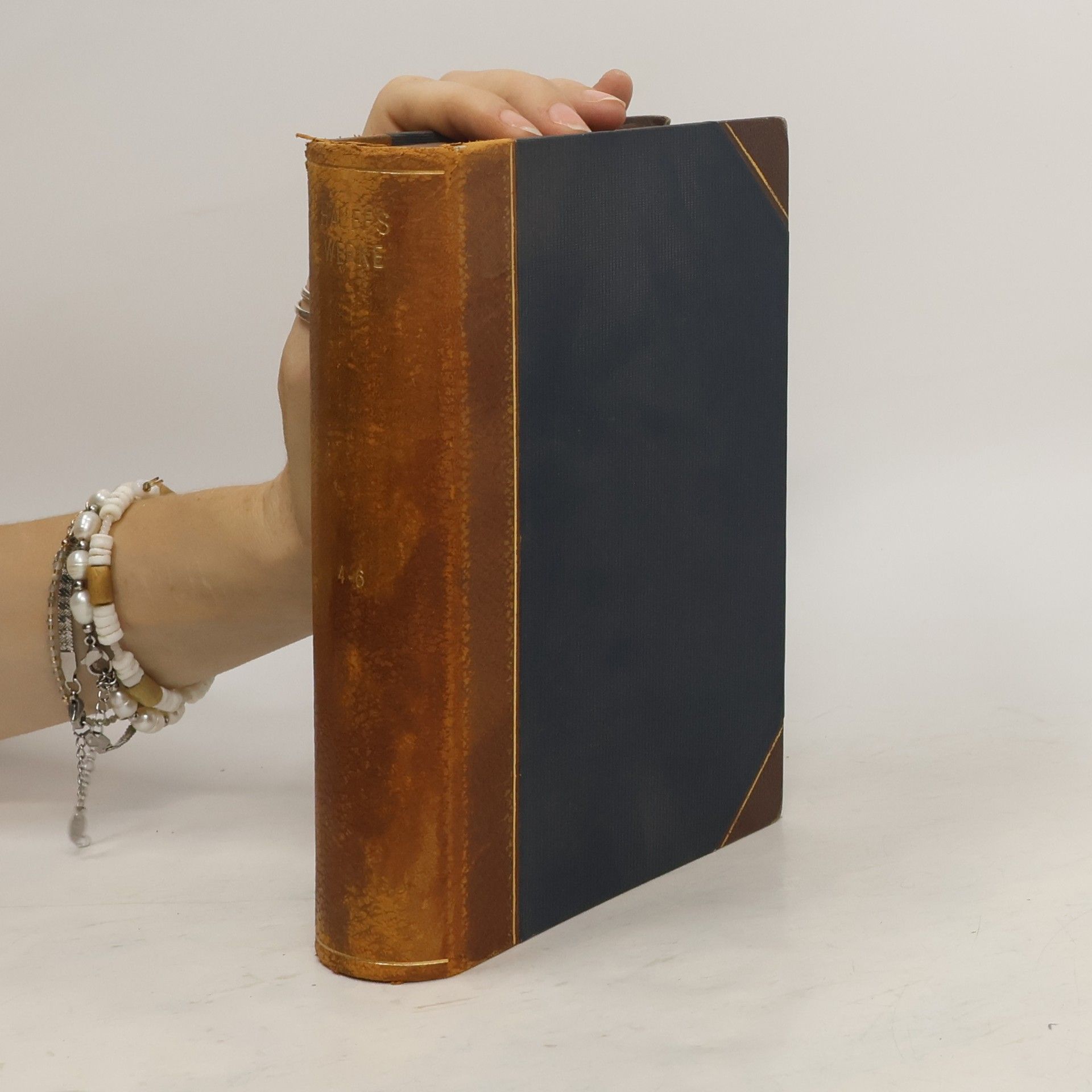 Autores varios Goldene Klassiker-Bibliothek 4-6