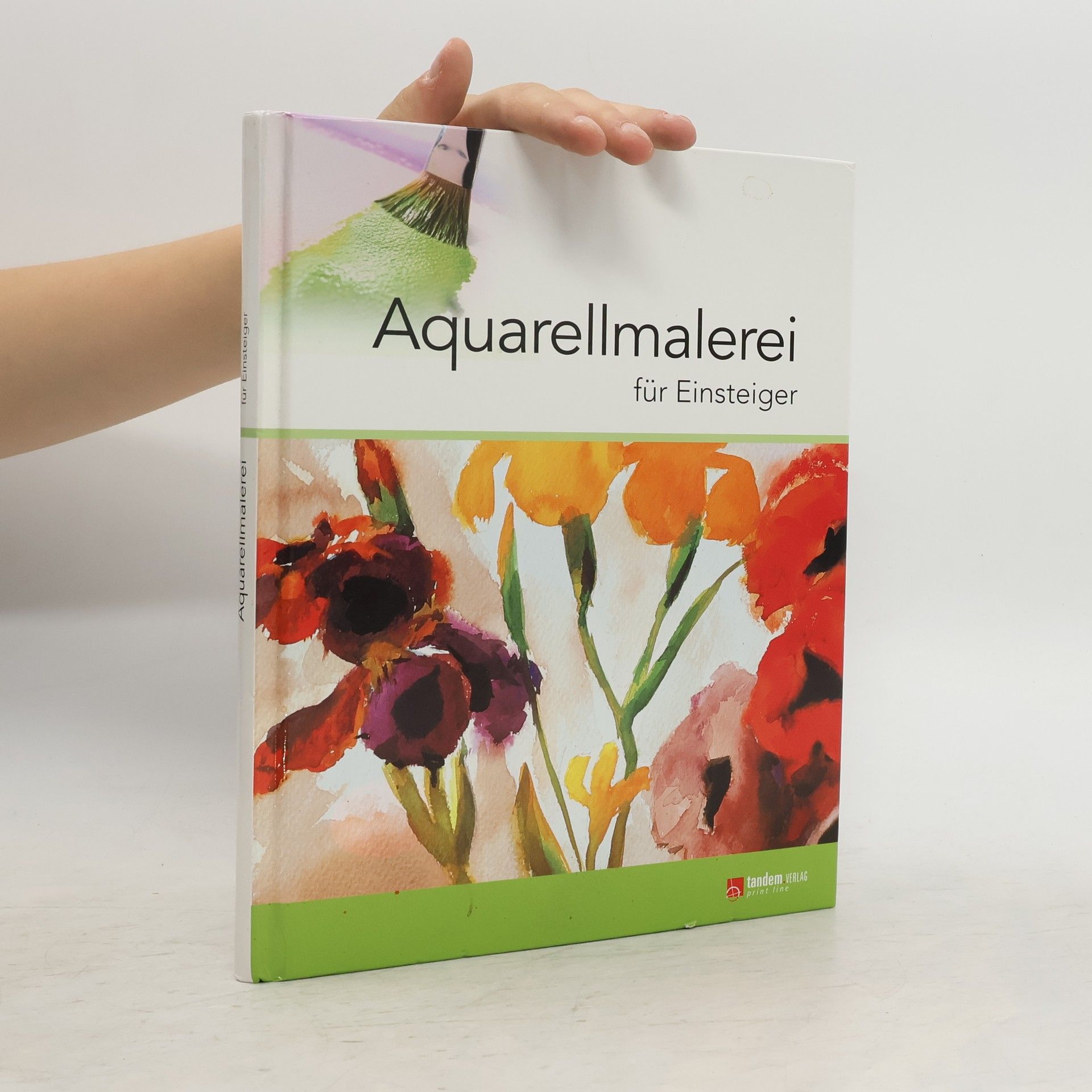 Francisco Asensio Cerver Aquarellmalerei für Einsteiger