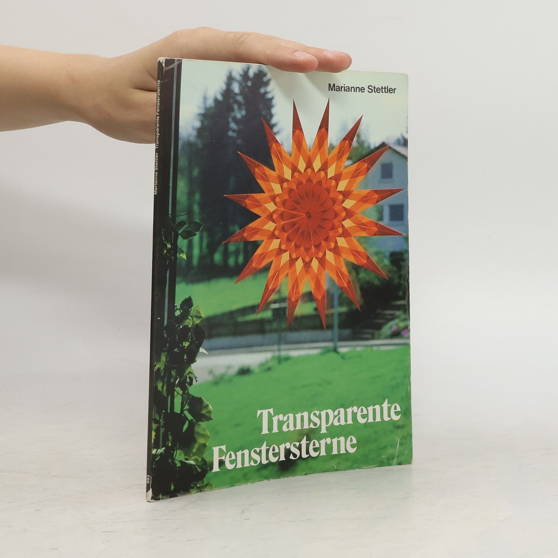 Marianne Stettler Transparente Fenstersterne