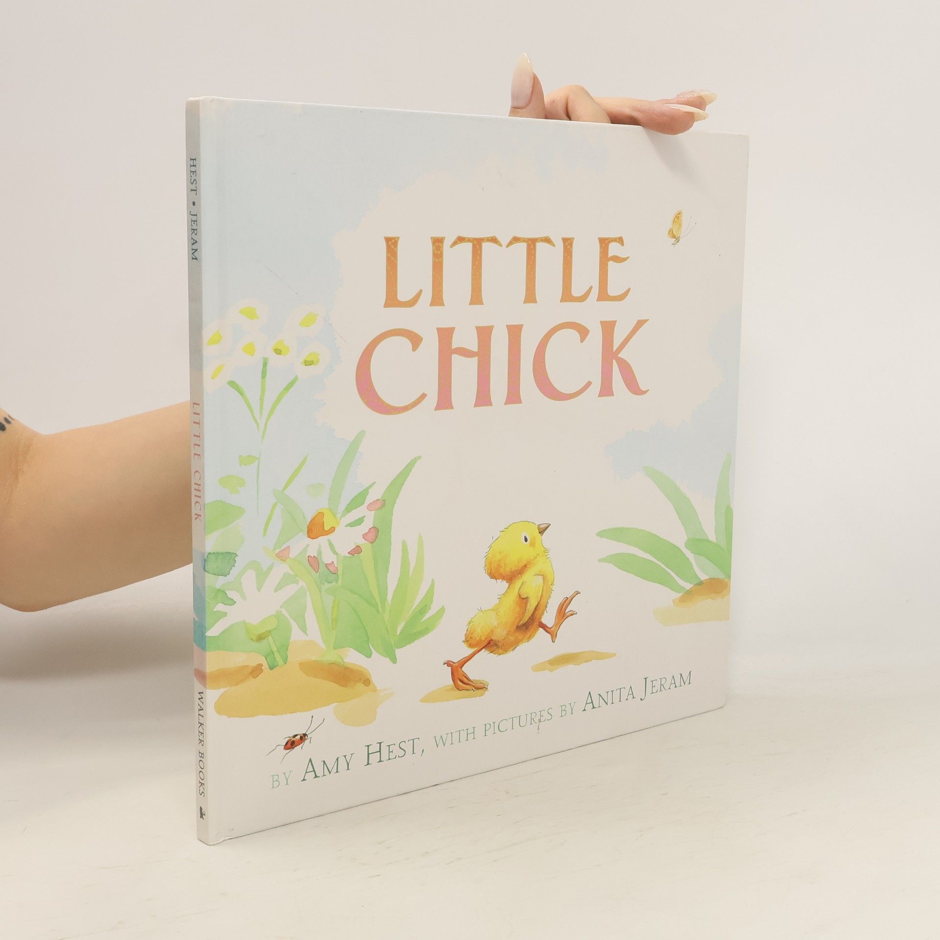 Amy Hest Little Chick