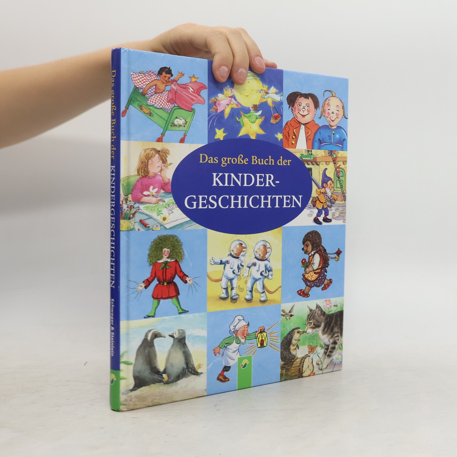 kolektiv Das große Buch der Kindergeschichten