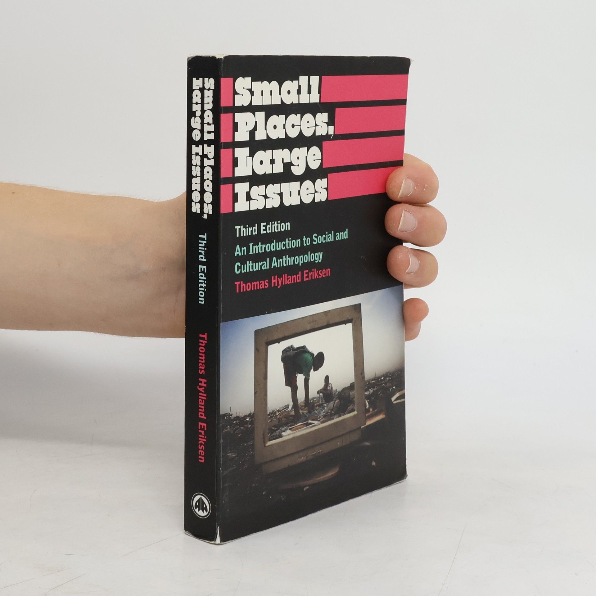 Thomas Hylland Eriksen Small Places, Large Issues
