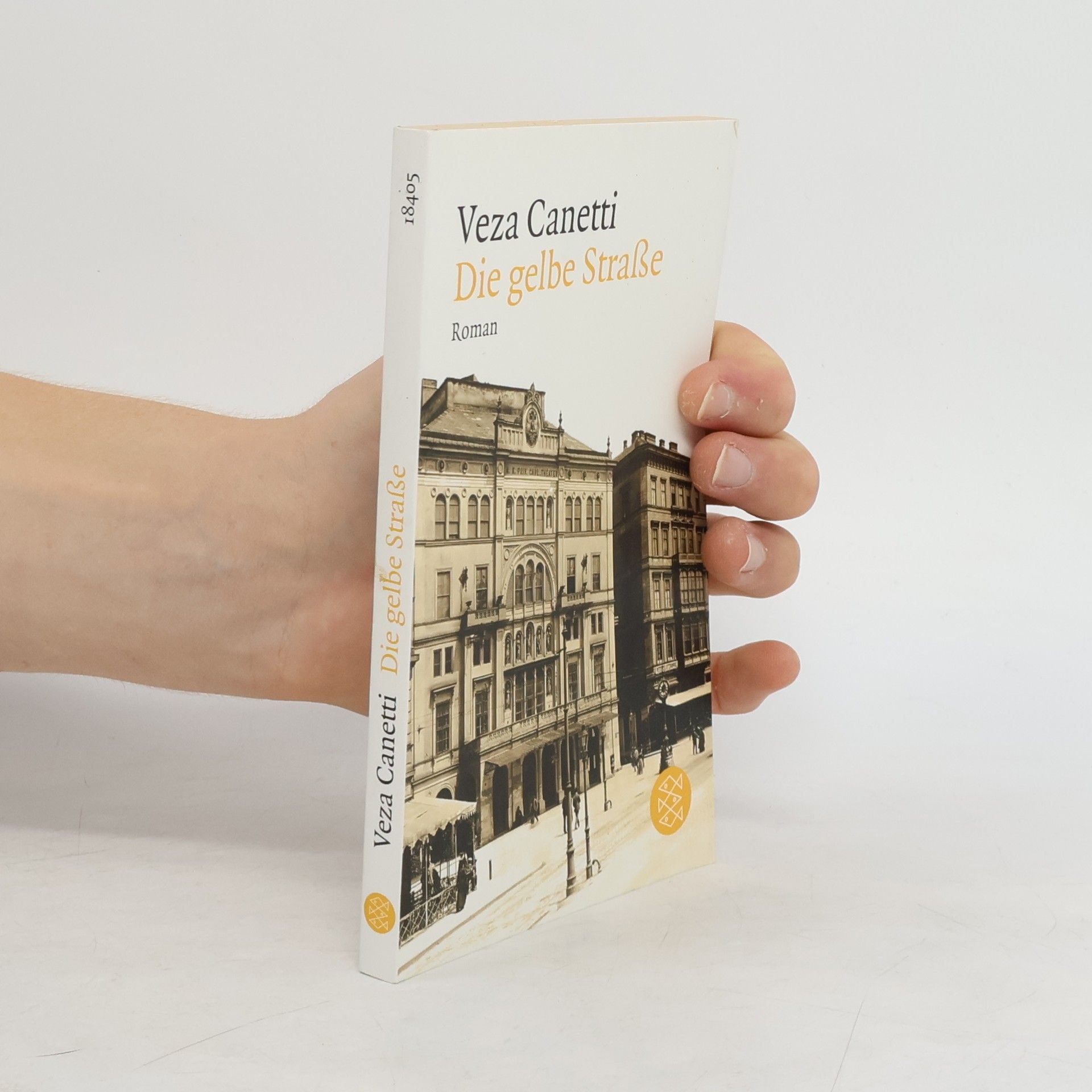Veza Canetti Die gelbe Straße