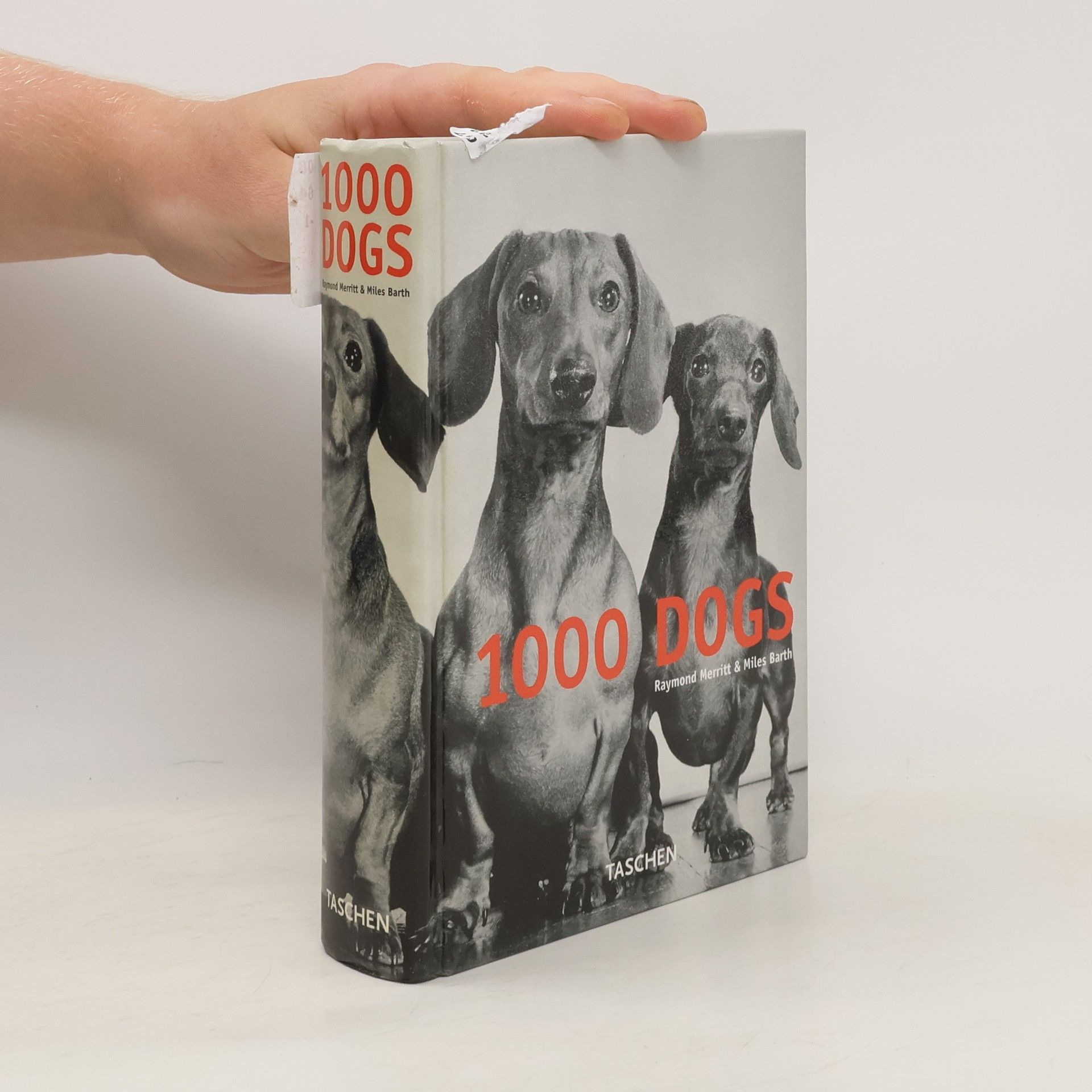 Miles Barth 1000 dogs