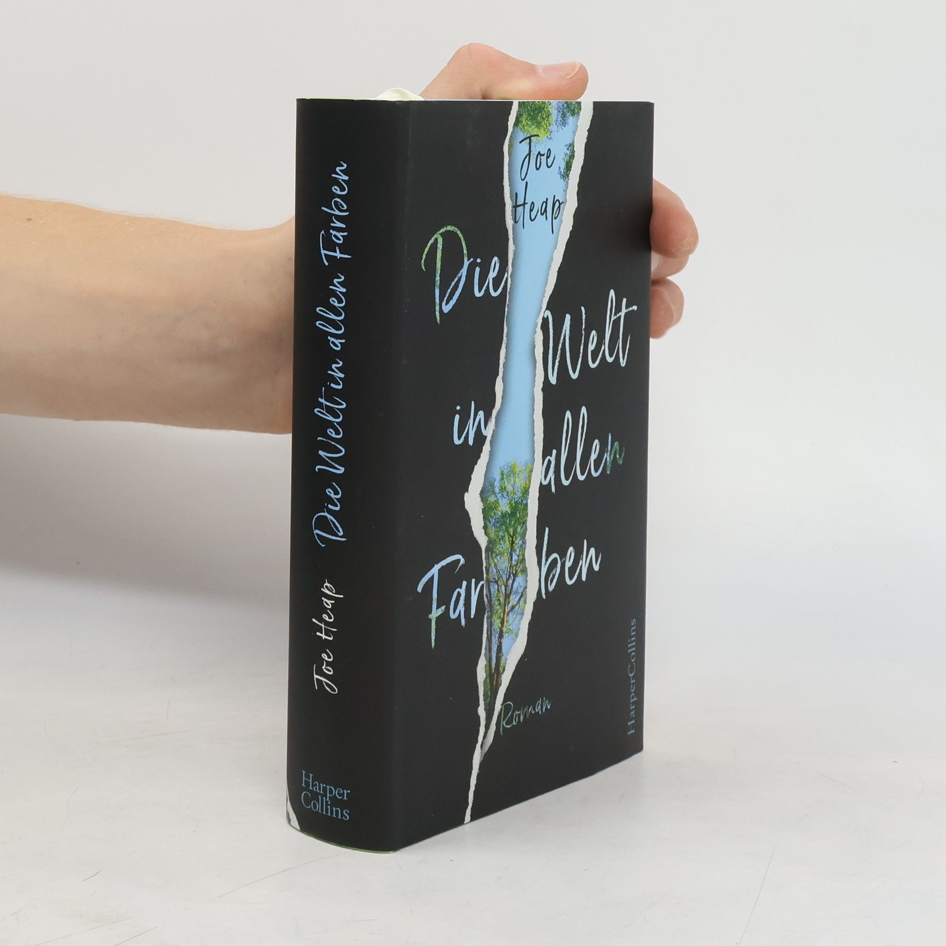 Joe Heap Die Welt in allen Farben