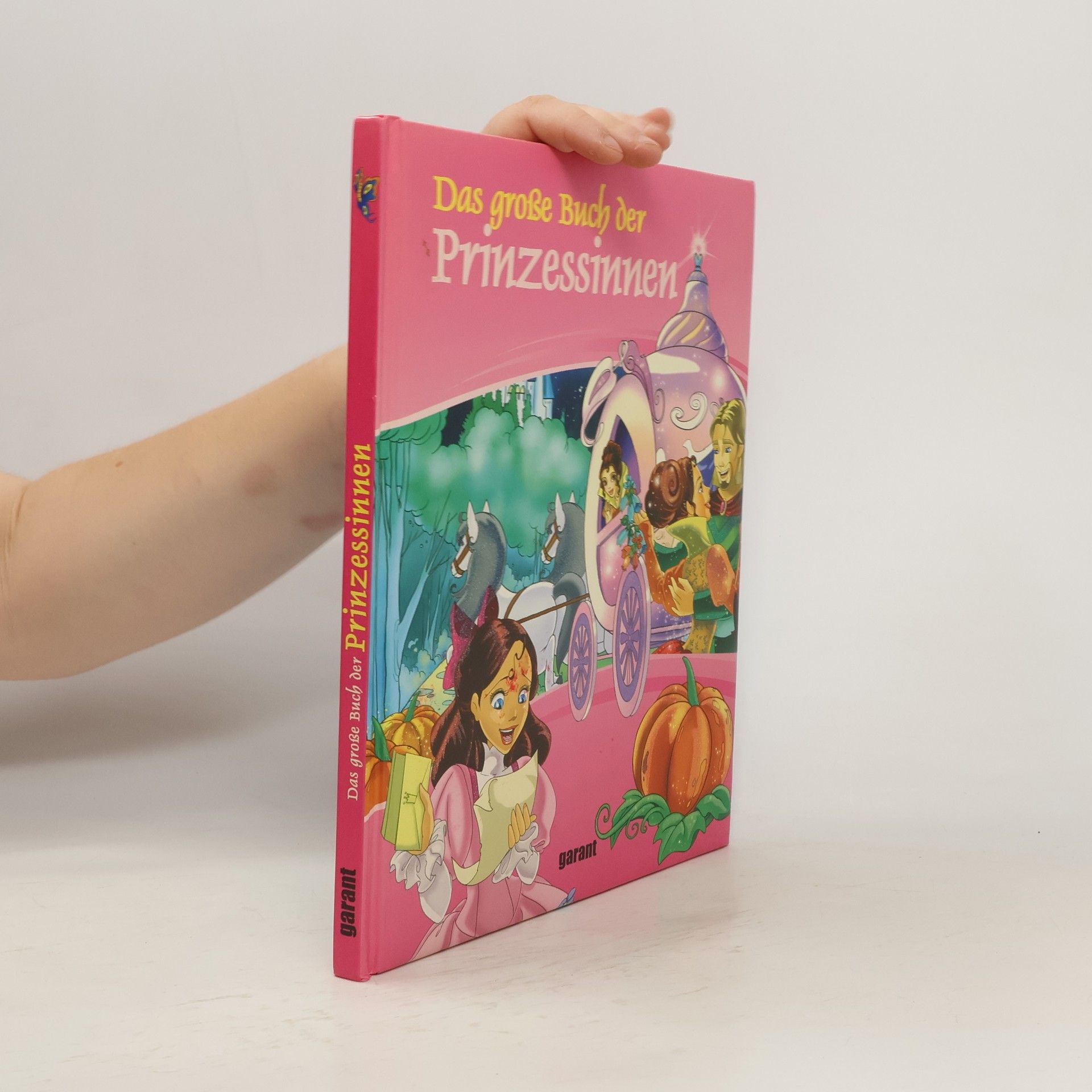 Collectif d'auteurs Das große Buch der Prinzessinnen