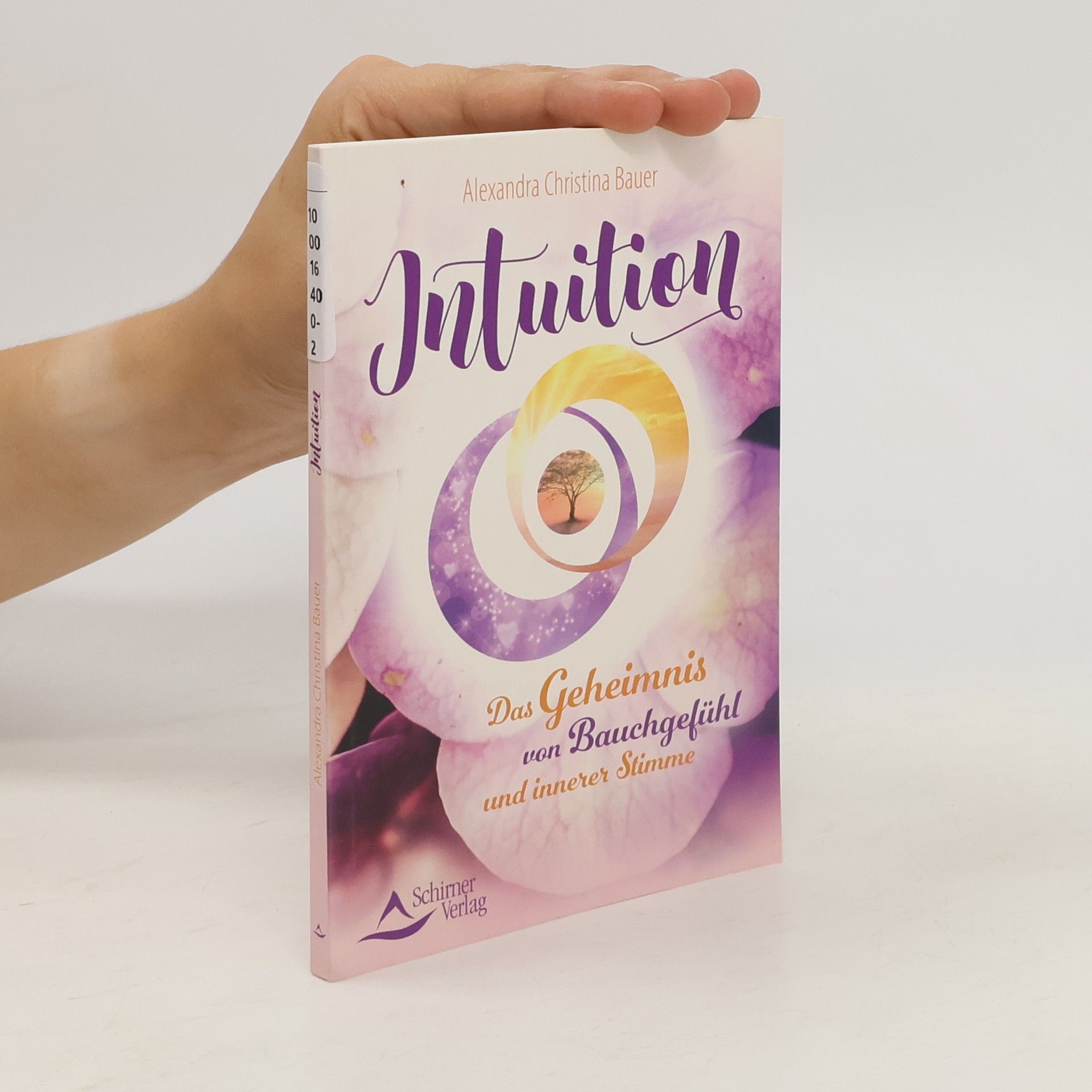 Alexandra Christina Bauer Intuition