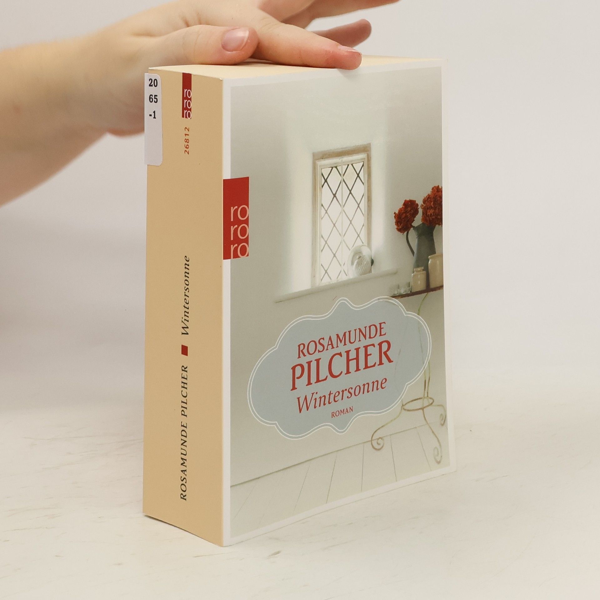 Rosamunde Pilcher Wintersonne