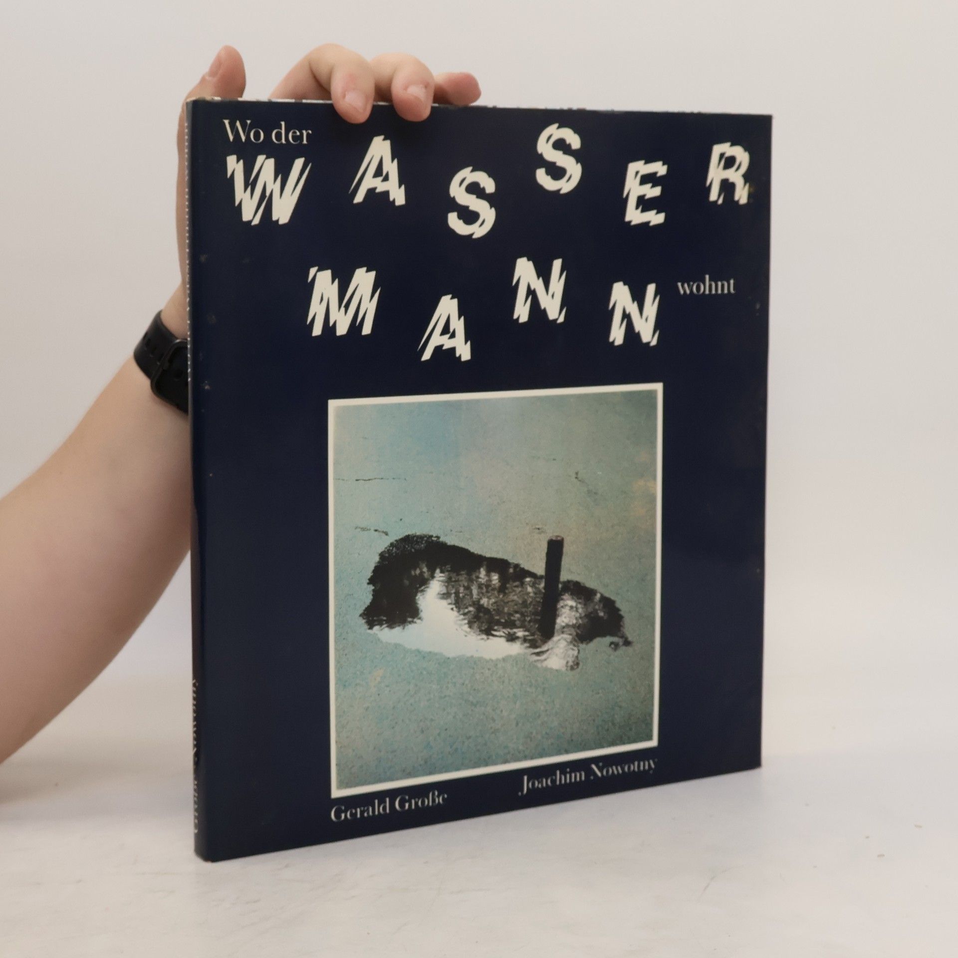 Gerald Große Wo der Wassermann wohnt