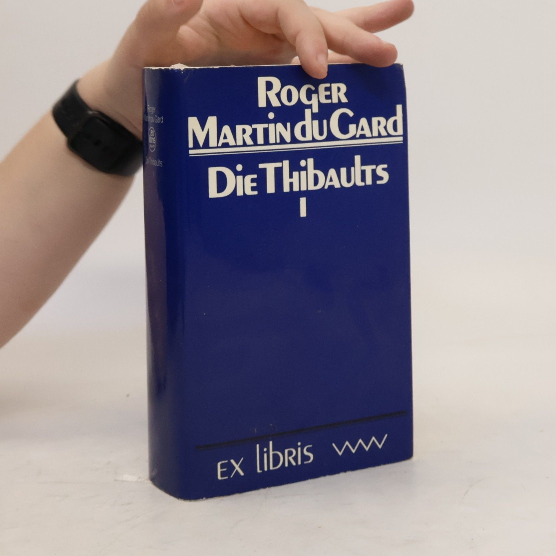 Roger Martin du Gard Die Thibaults I