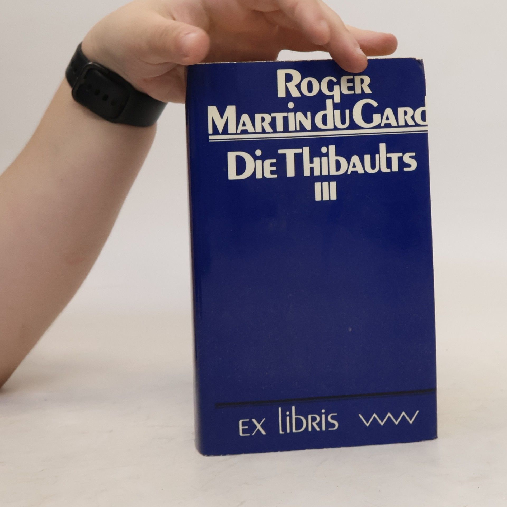 Roger Martin du Gard Die Thibaults III