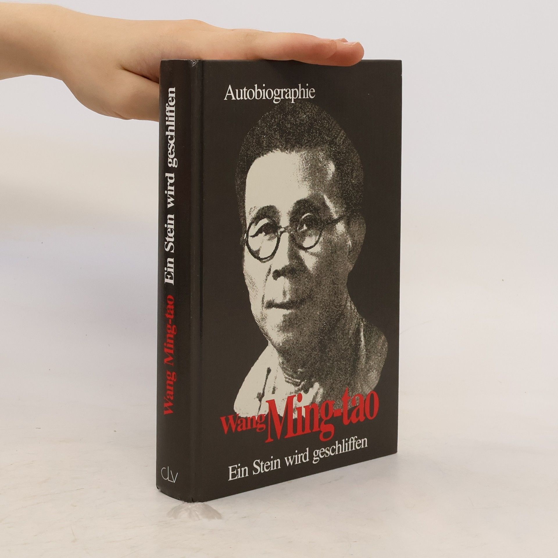 Ming-tao Wang Ein Stein wird geschliffen