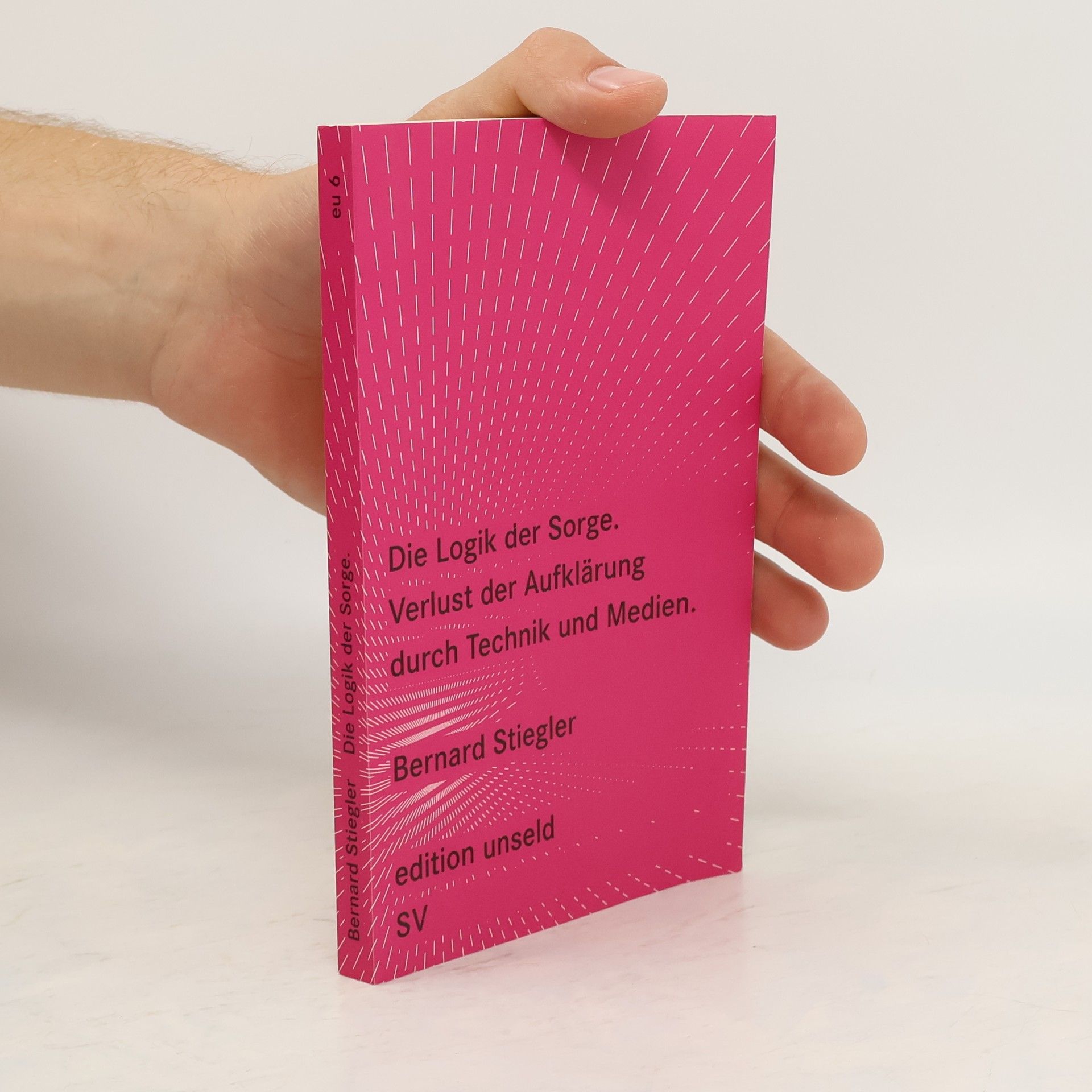 Bernard Stiegler Die Logik der Sorge