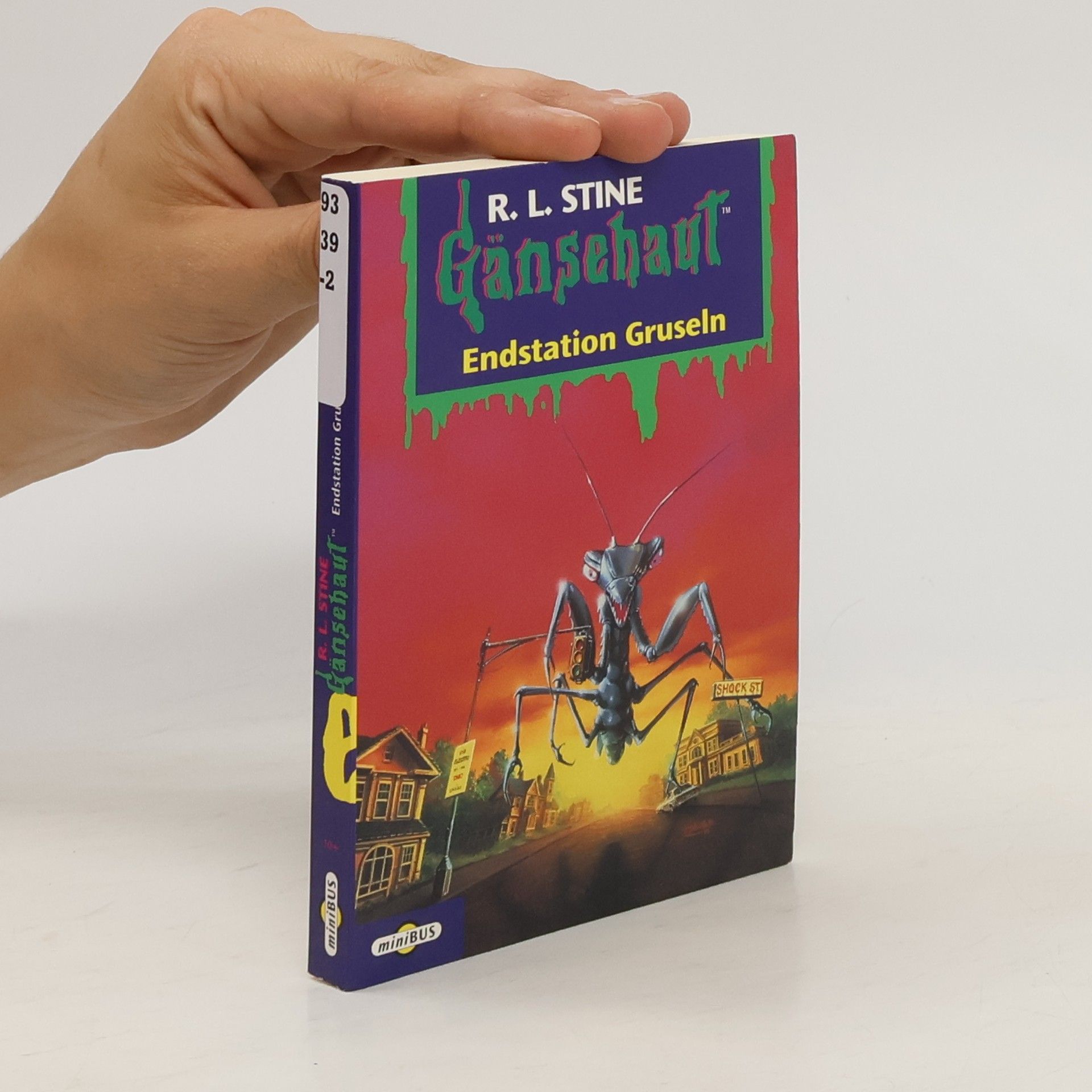 R. L. Stine Endstation Gruseln