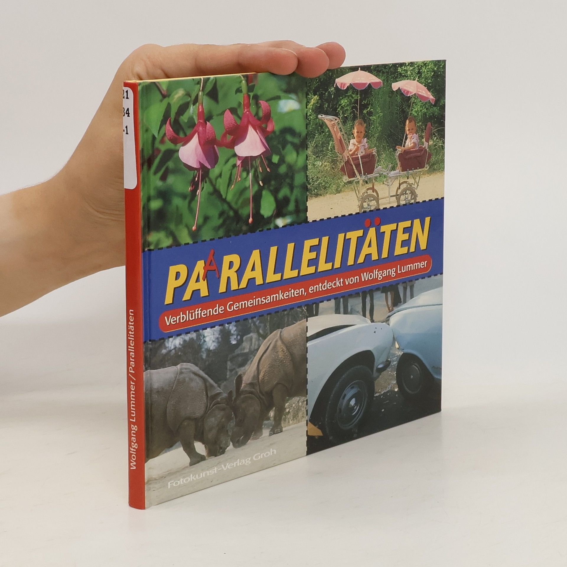 Wolfgang Lummer Paarallelitäten