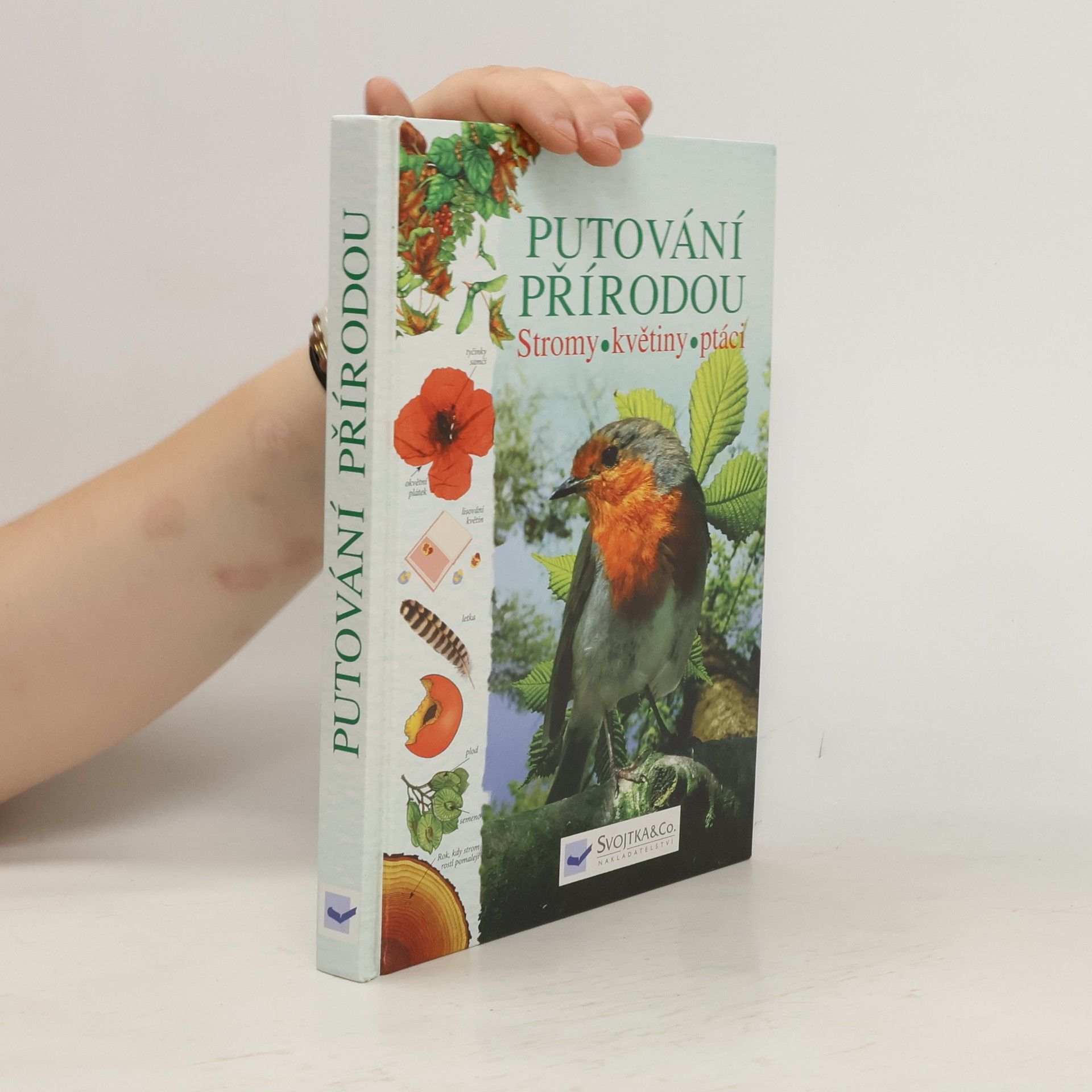 Kolektiv autorů Putování přírodou: Stromy, květiny, ptáci