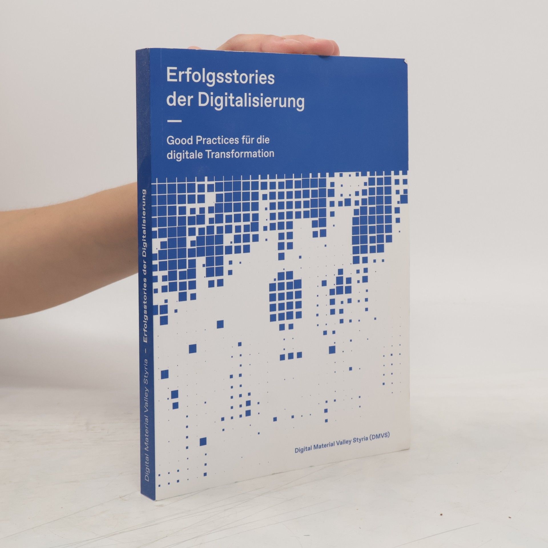 Claudia Brandstätter Erfolgsstories der Digitalisierung