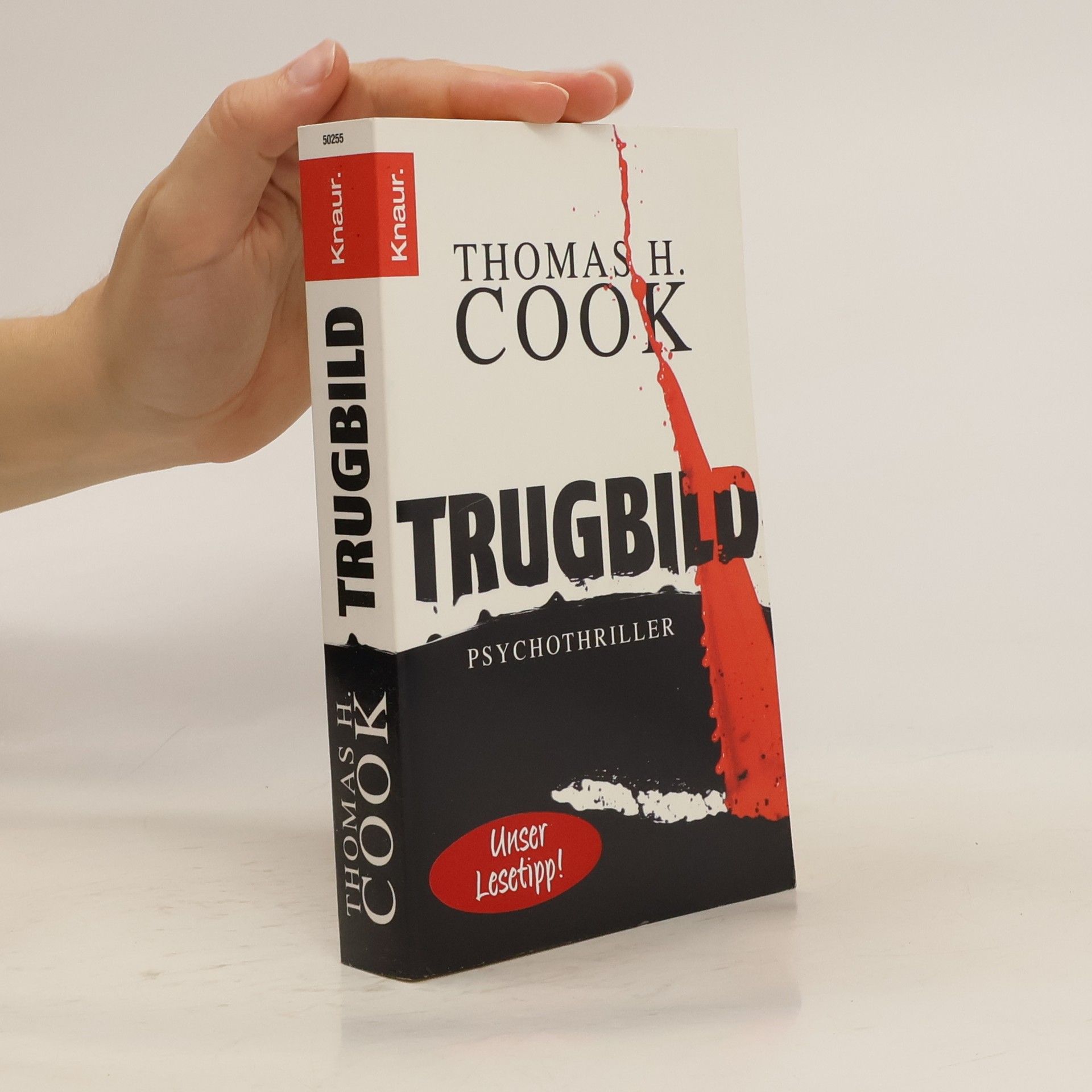 Thomas H. Cook Trugbild