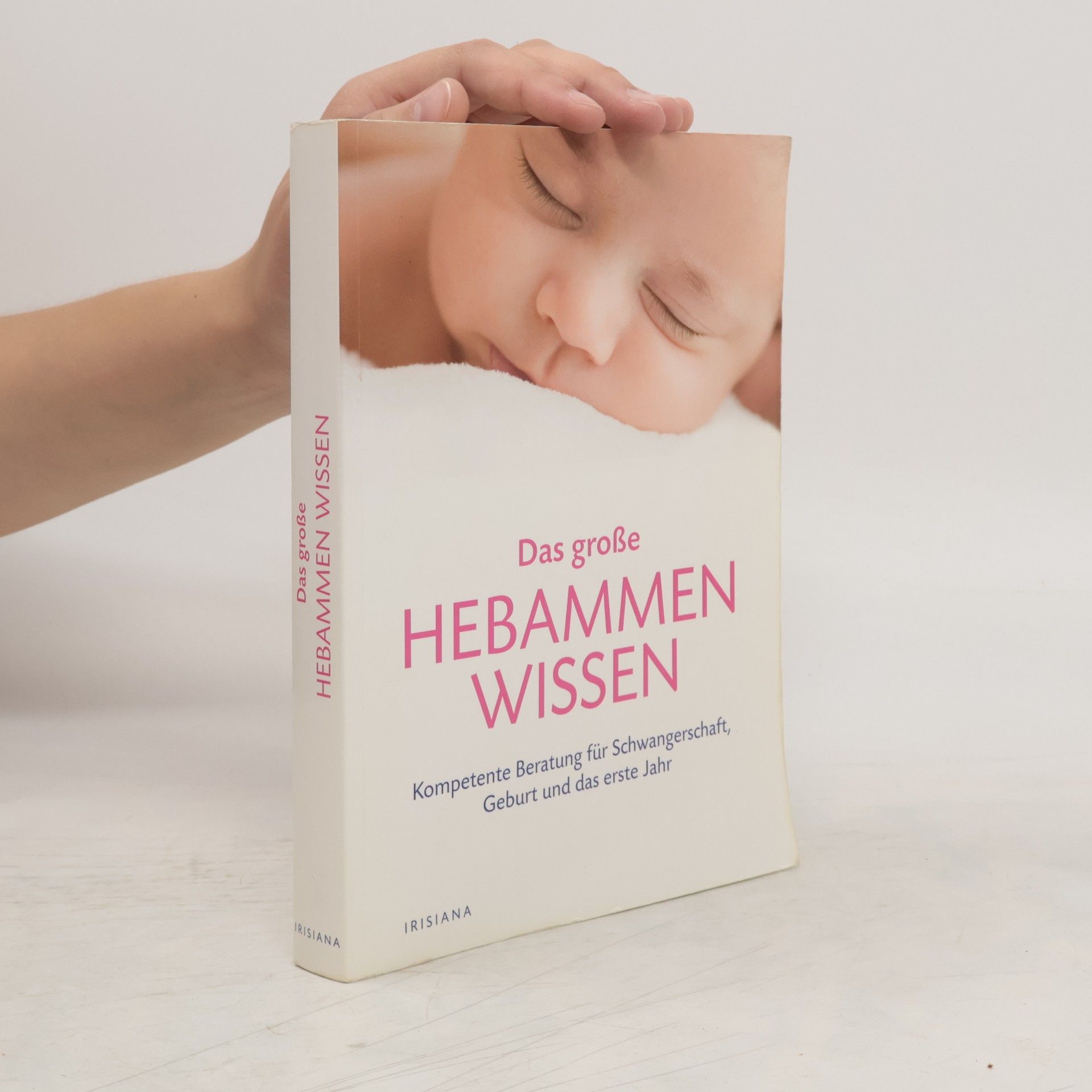 Iris Edenhofer Das große Hebammen-Wissen