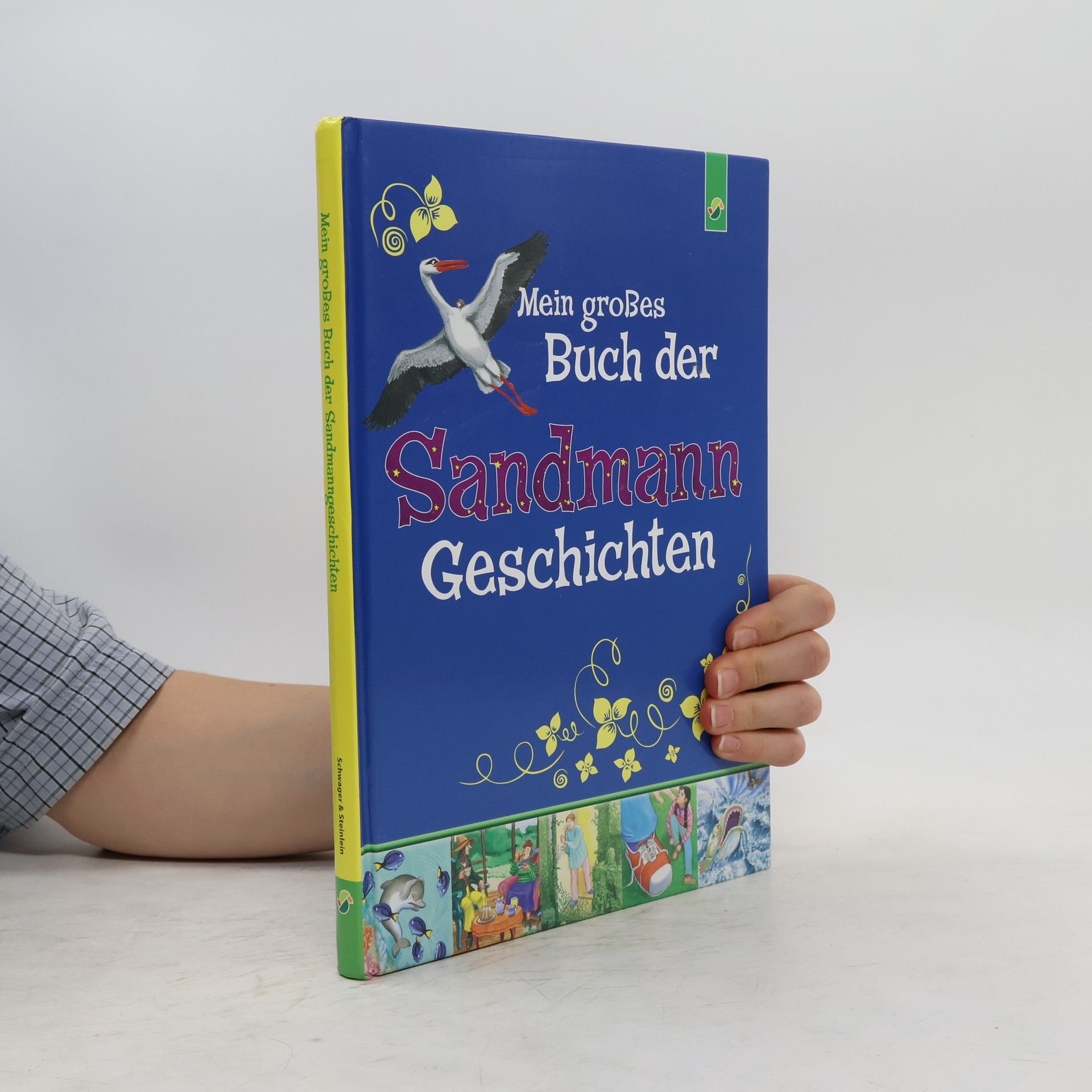 Annette Huber Mein großes Buch der Sandmann-Geschichten
