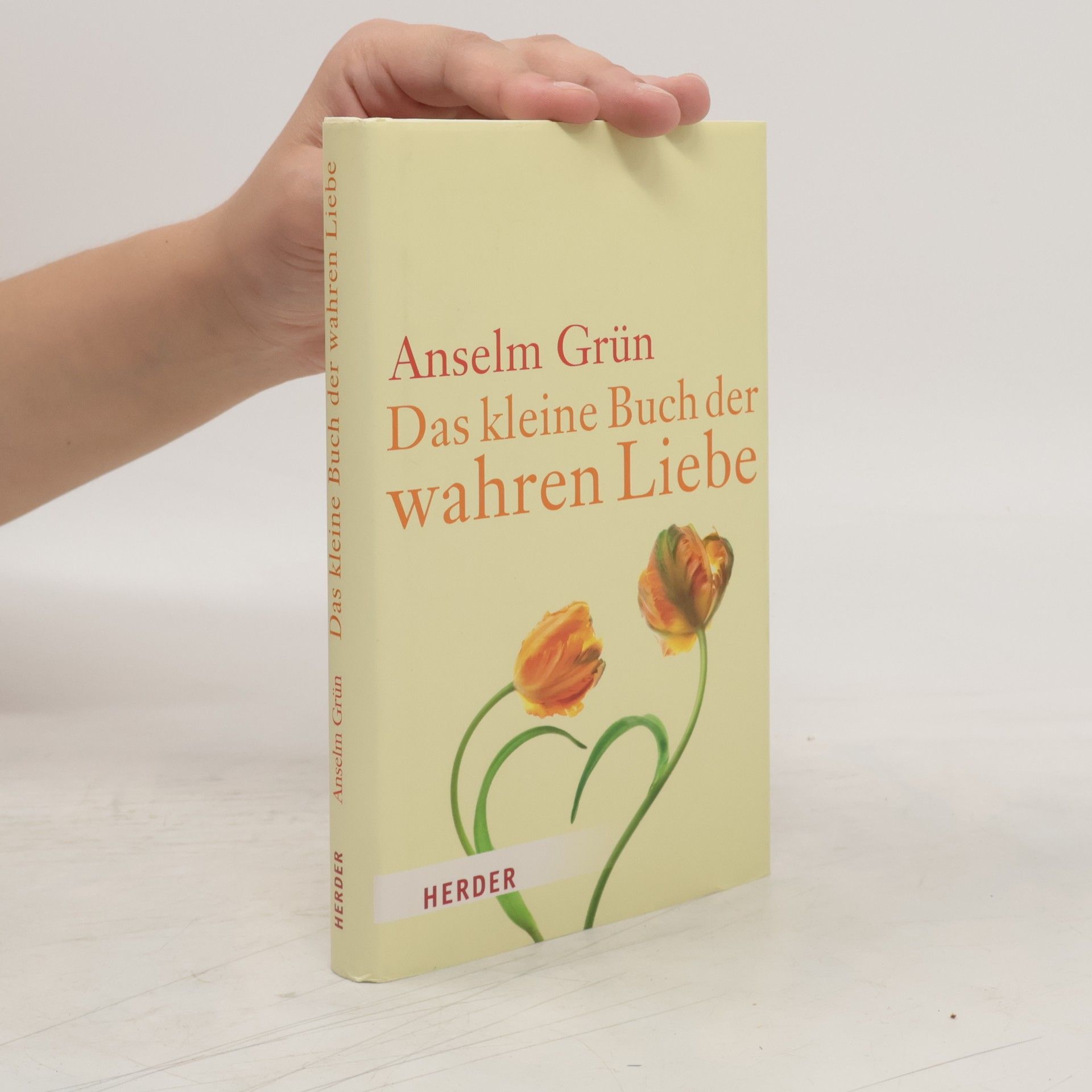 Anselm Grün Das kleine Buch der wahren Liebe
