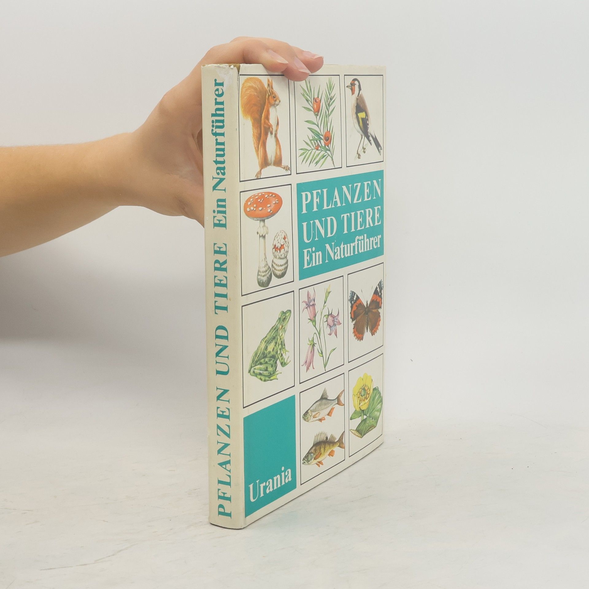 Autorenkollektiv Pflanzen und Tiere. Ein Naturführer
