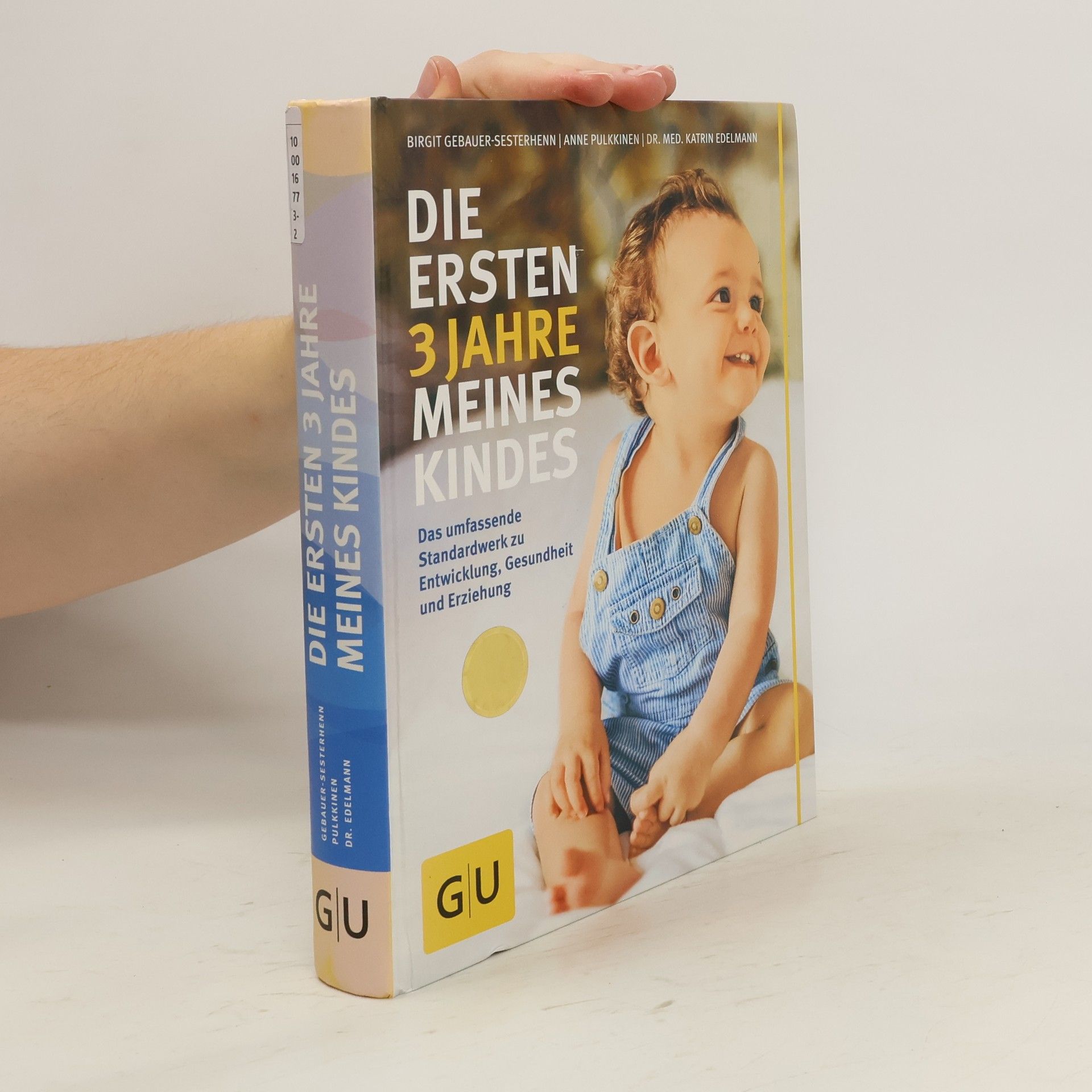 Birgit Gebauer-Sesterhenn Die ersten 3 Jahre meines Kindes
