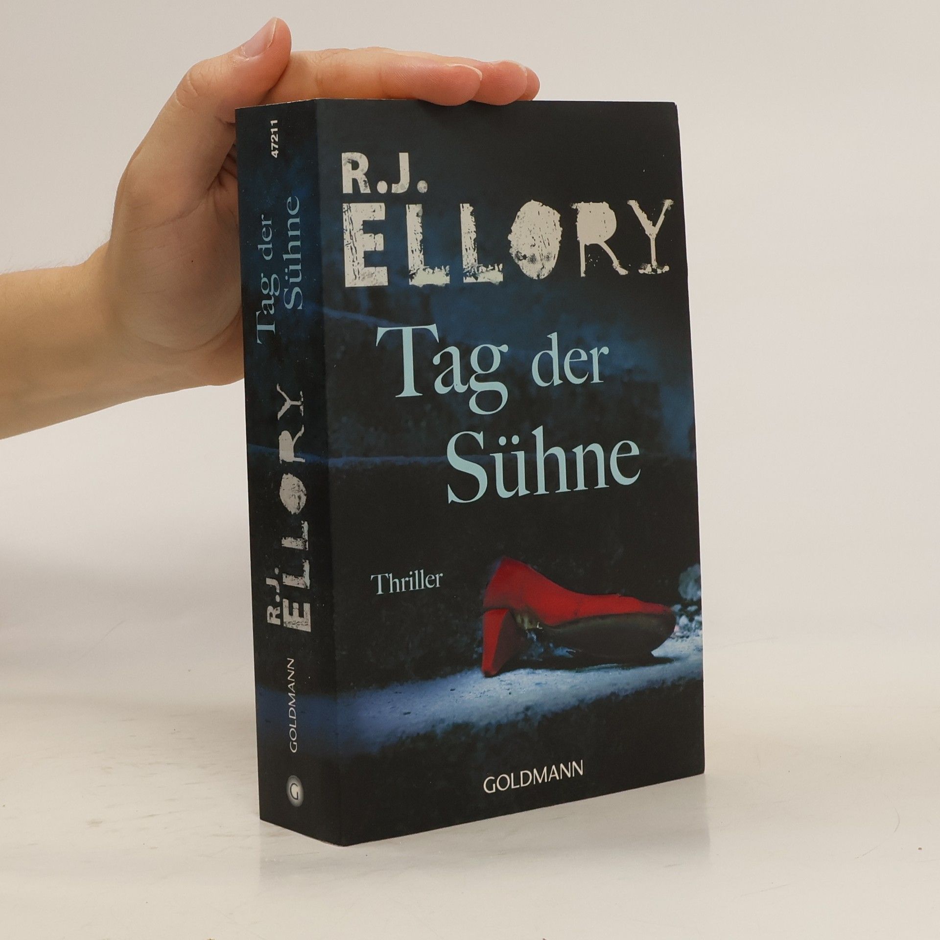 Roger Jon Ellory Tag der Sühne