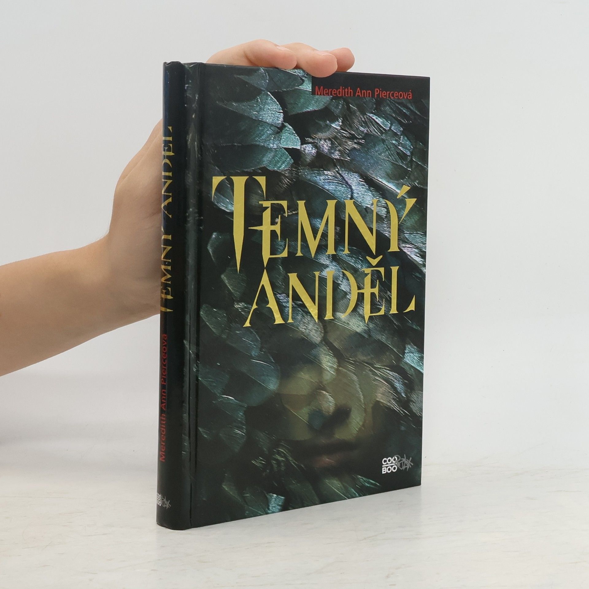 Meredith Ann Pierce Temný anděl