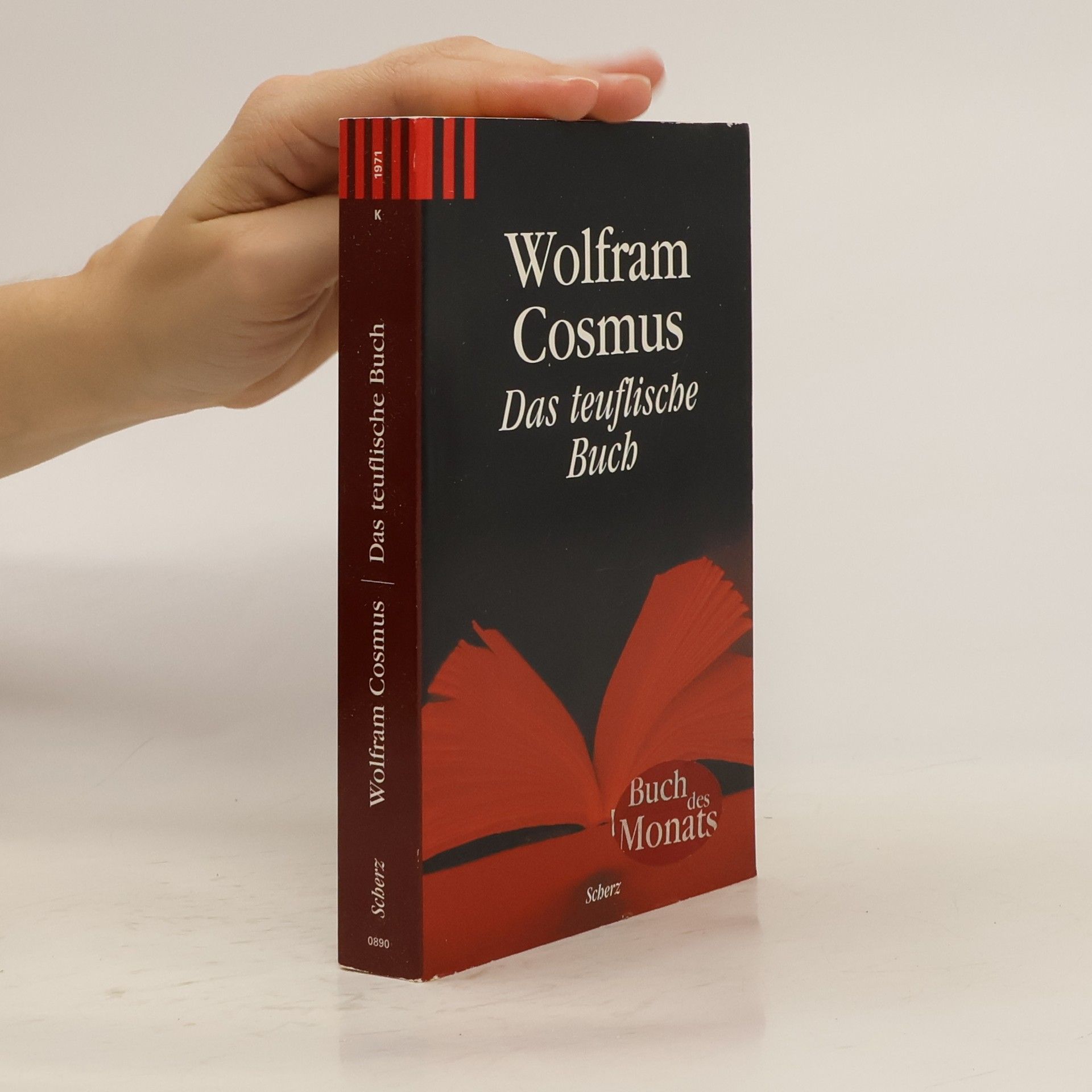 Wolfram Cosmus Das teuflische Buch