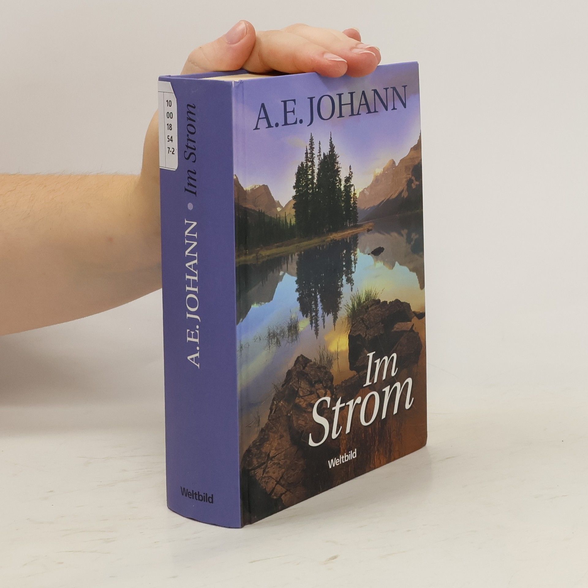 Alfred E. Johann Im Strom